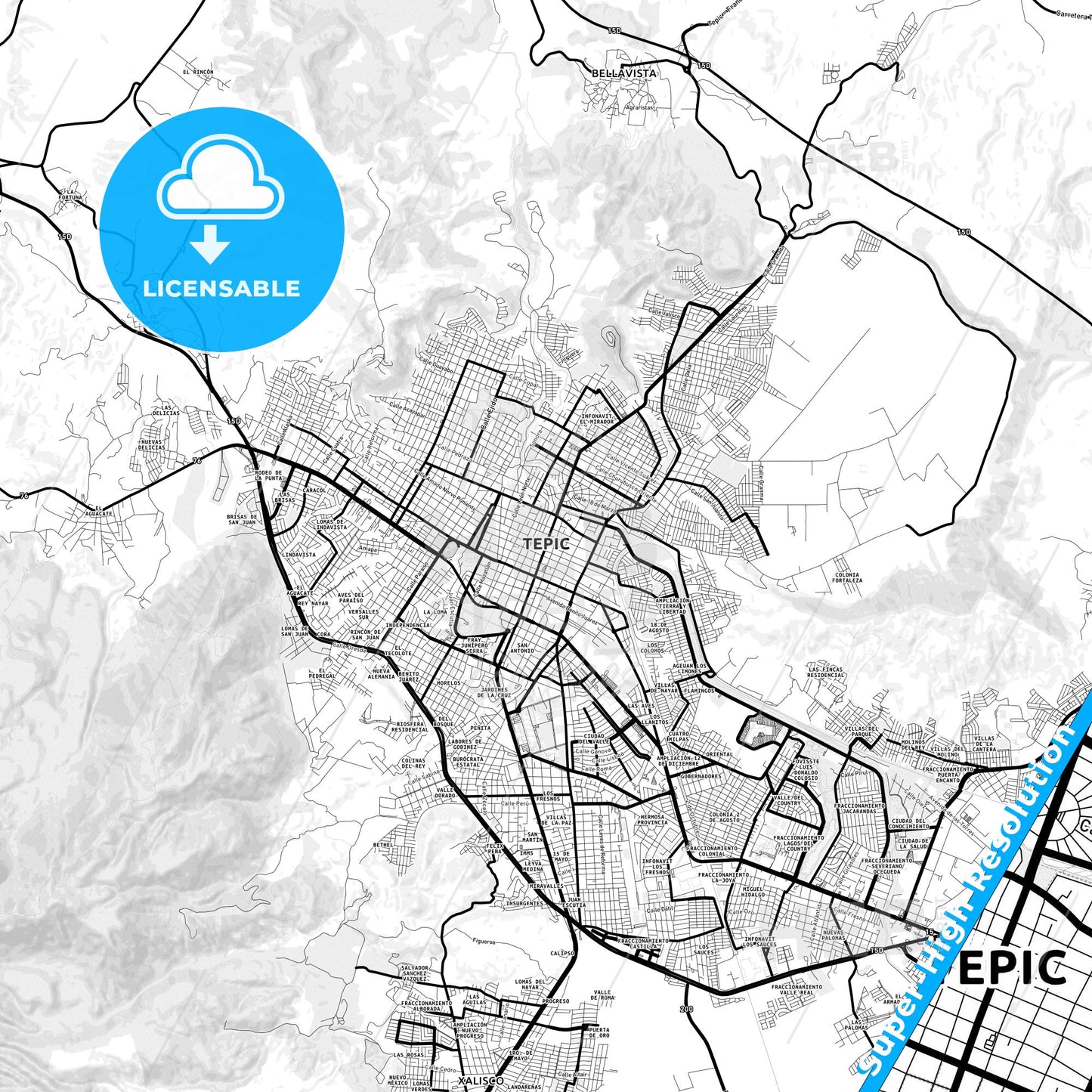 Tepic, Mexico Light Map with Street Names, City Names, and Districts