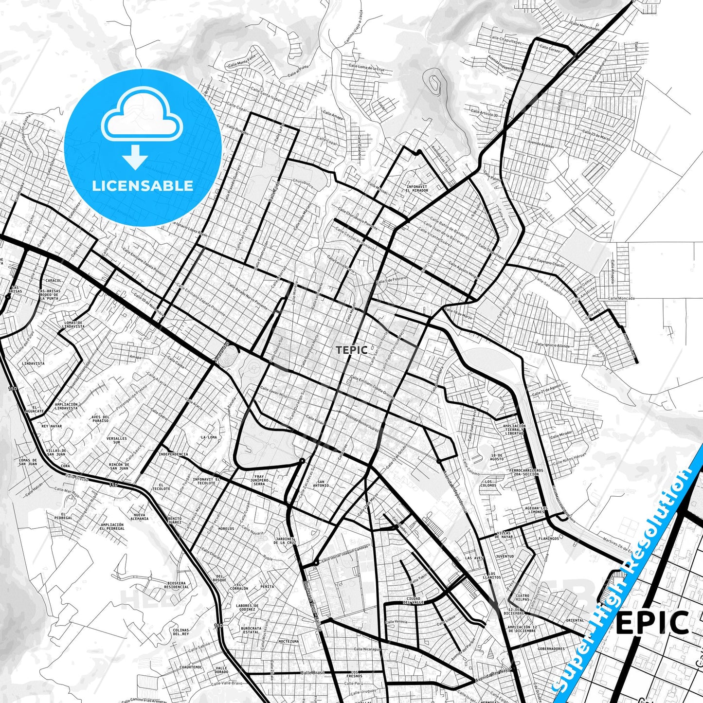Tepic, Mexico Light Map with Street Names, City Names, and Districts