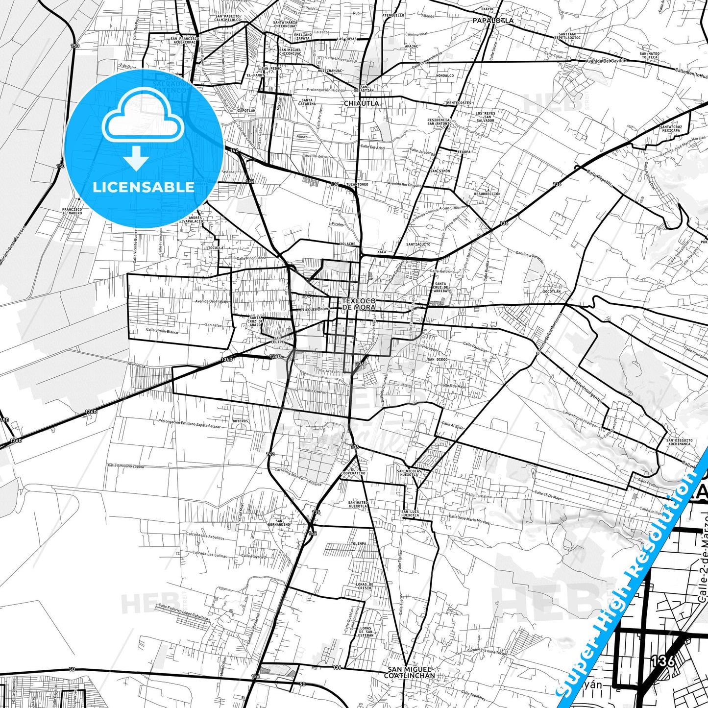 Texcoco, Mexico Light Map with Street Names, City Names, and Districts