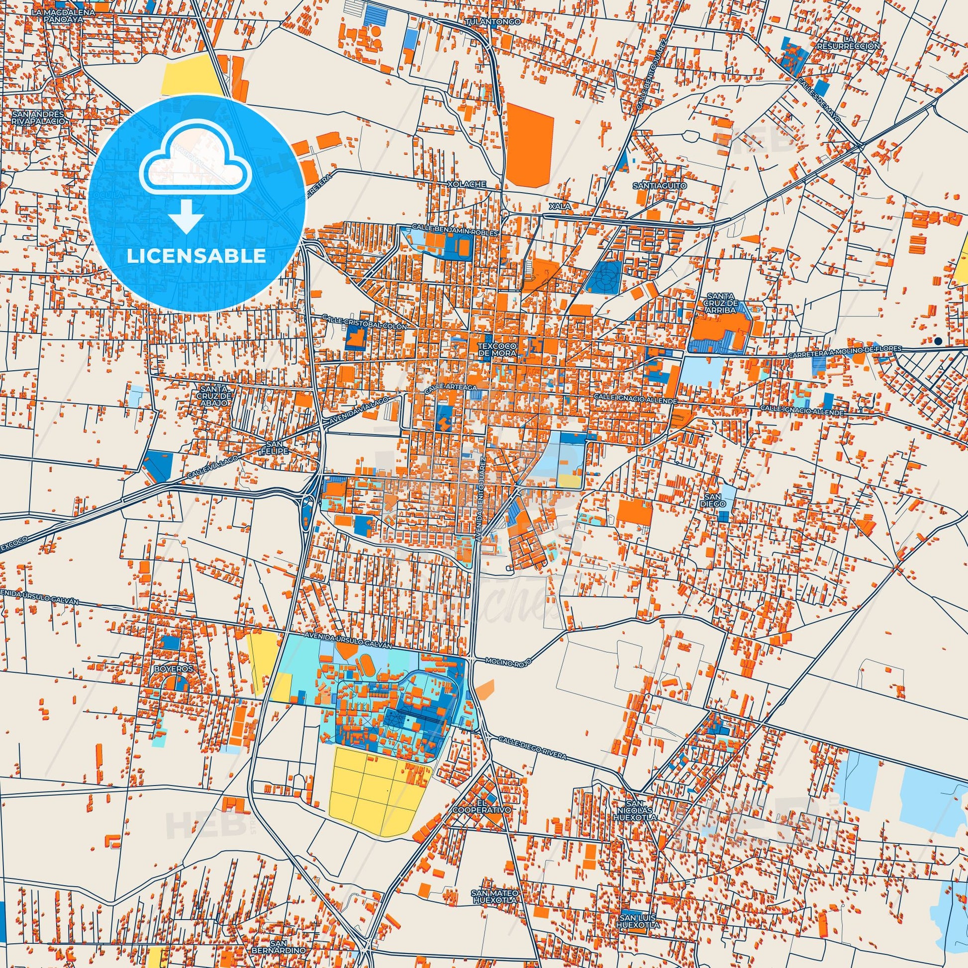 Colorful Texcoco Street Map with Labels and Buildings
