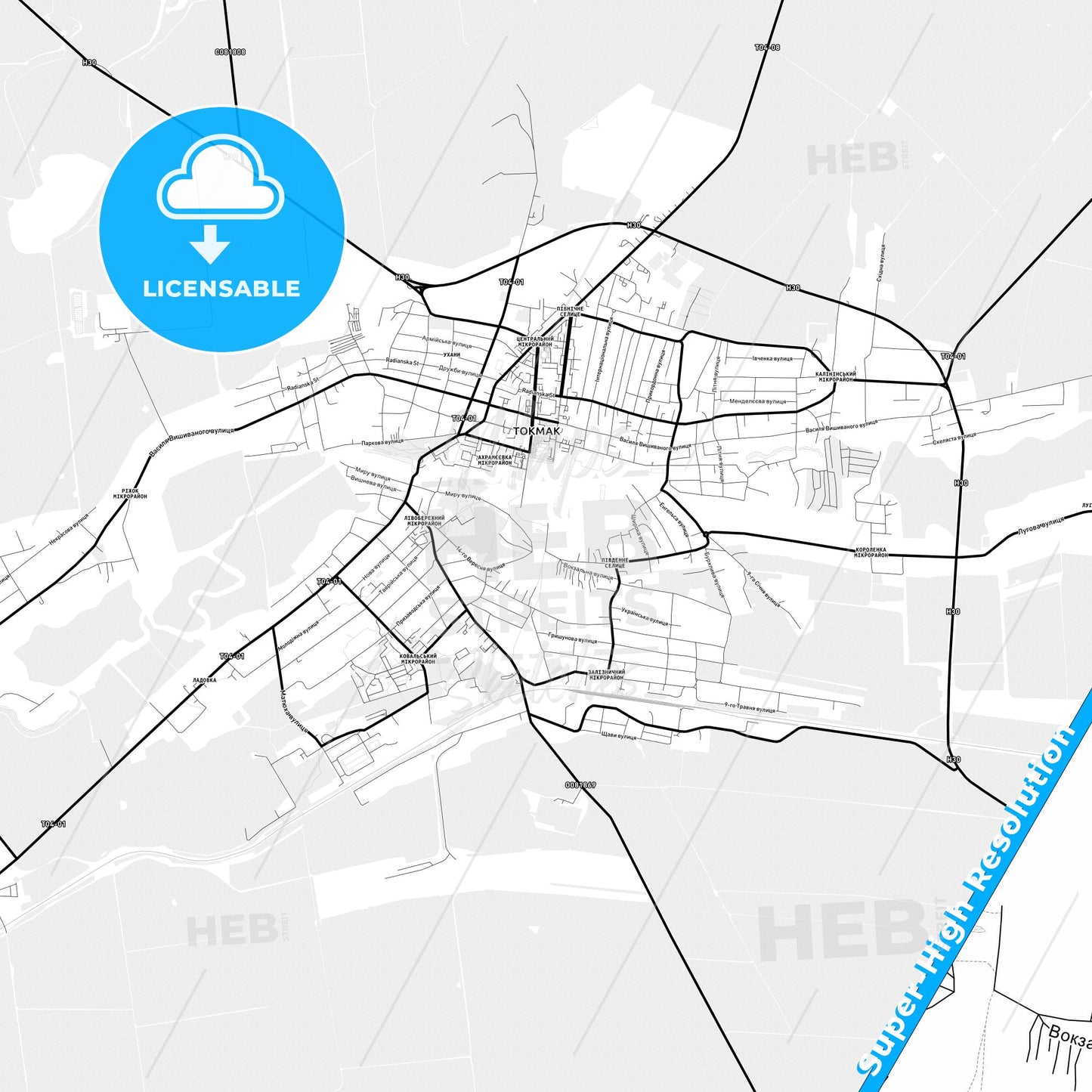 Tokmak, Ukraine Light Map with Street Names, City Names, and Districts