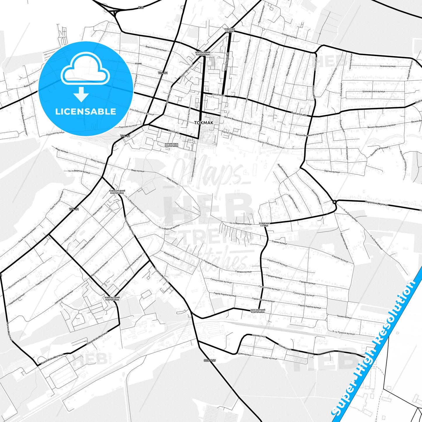 Tokmak, Ukraine Light Map with Street Names, City Names, and Districts