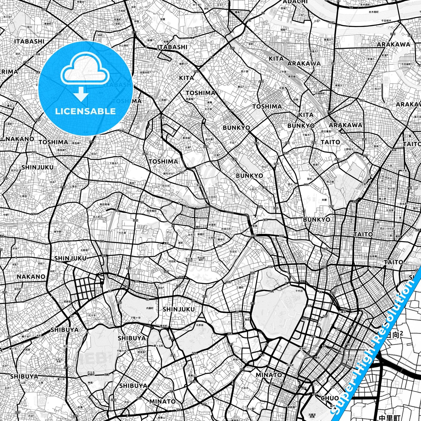Tokyo, Japan Light Map with Street Names, City Names, and Districts