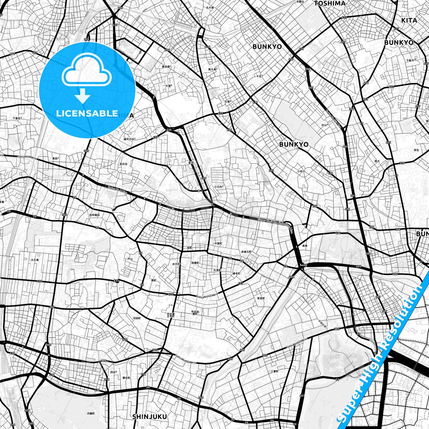 Tokyo, Japan Light Map with Street Names, City Names, and Districts