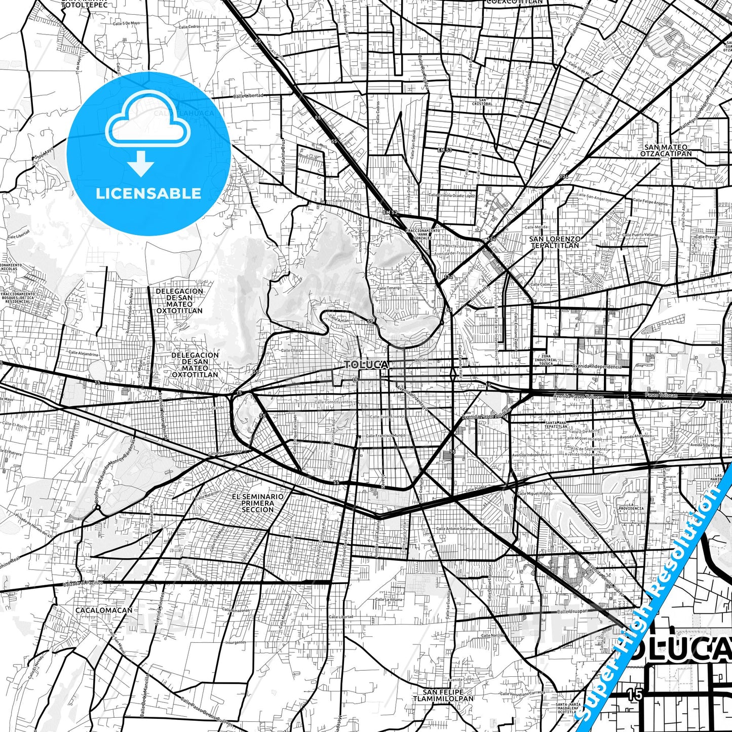 Toluca, Mexico Light Map with Street Names, City Names, and Districts