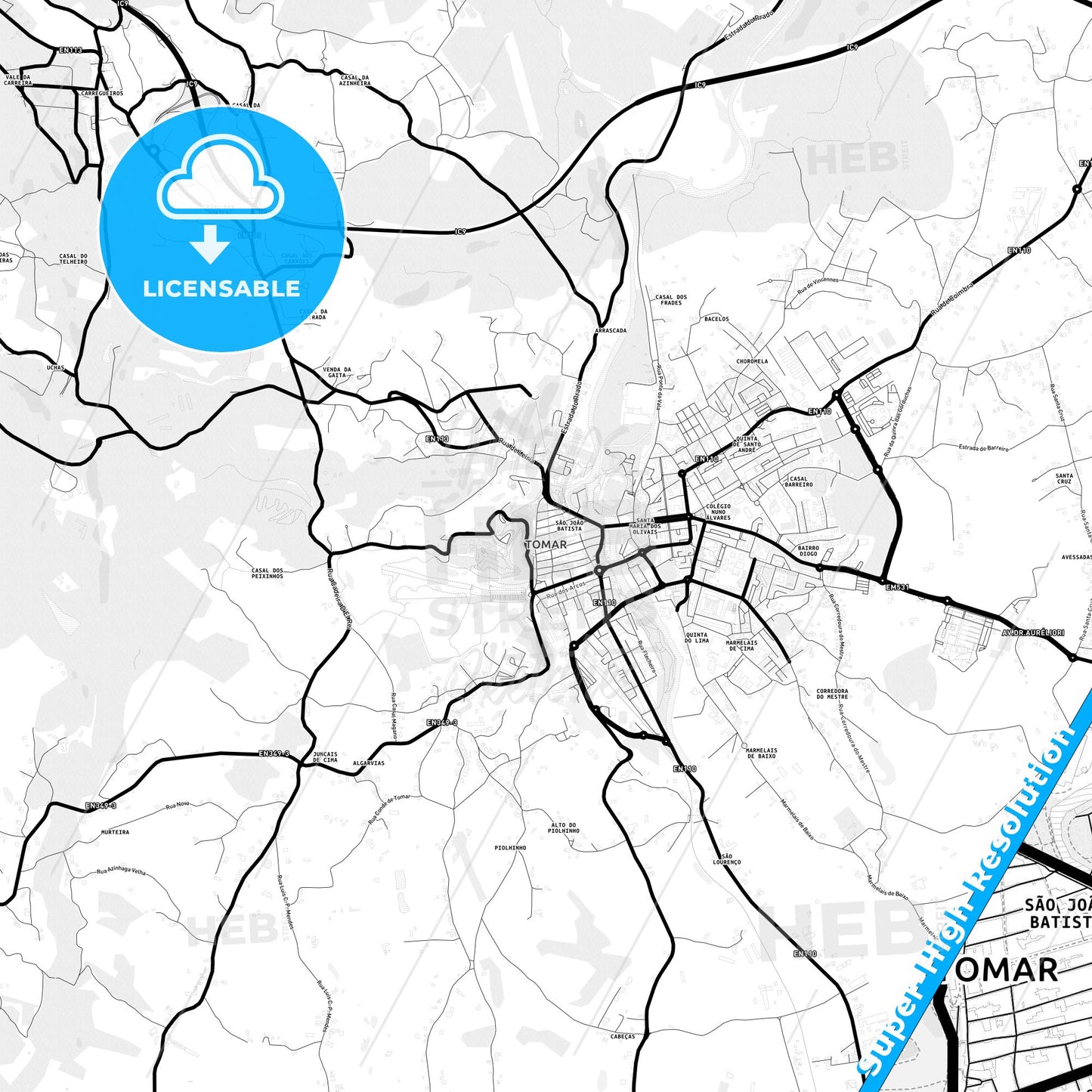 Tomar, Portugal Light Map with Street Names, City Names, and Districts