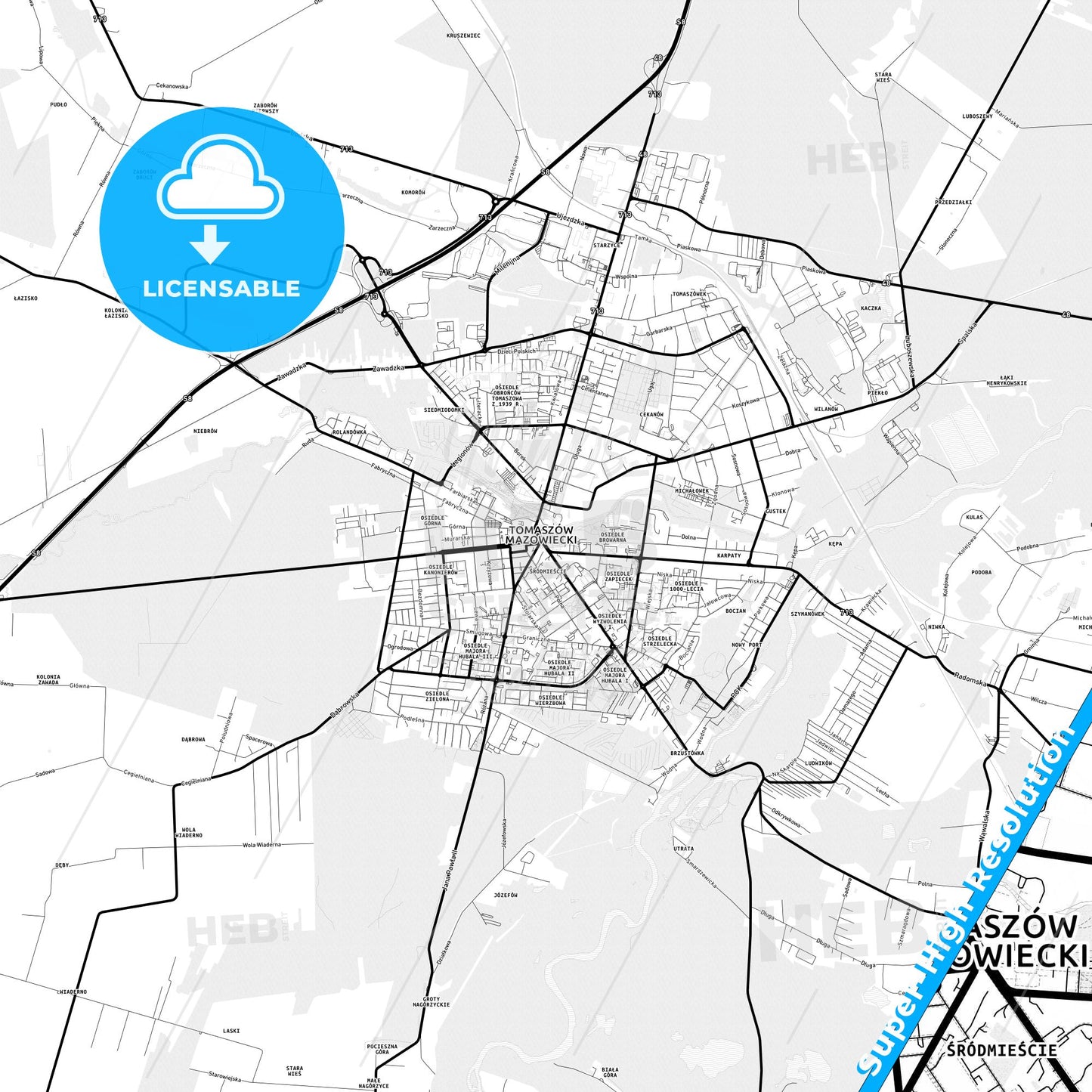 Tomaszów Mazowiecki, Poland Light Map with Street Names, City Names, and Districts