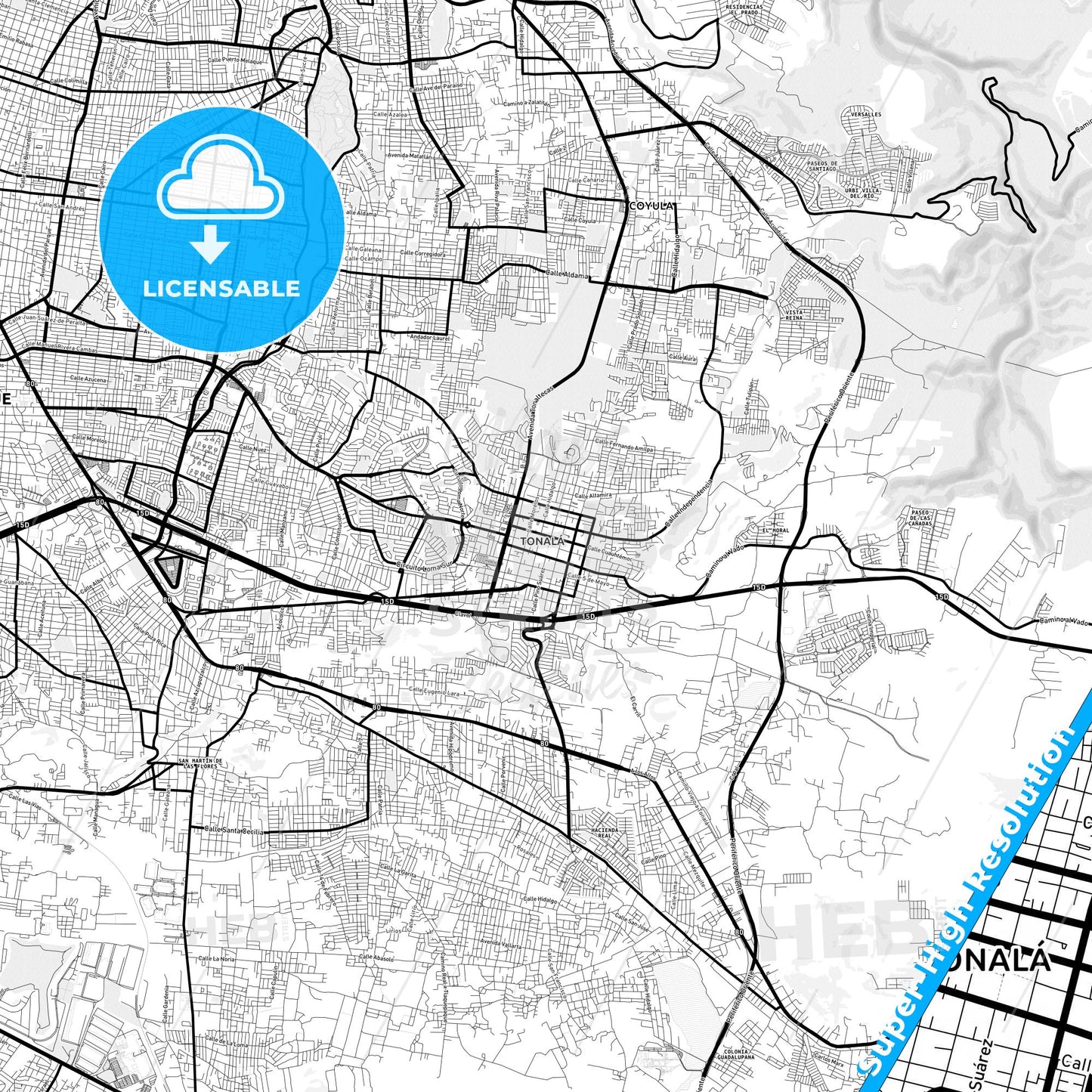 Tonalá, Mexico Light Map with Street Names, City Names, and Districts