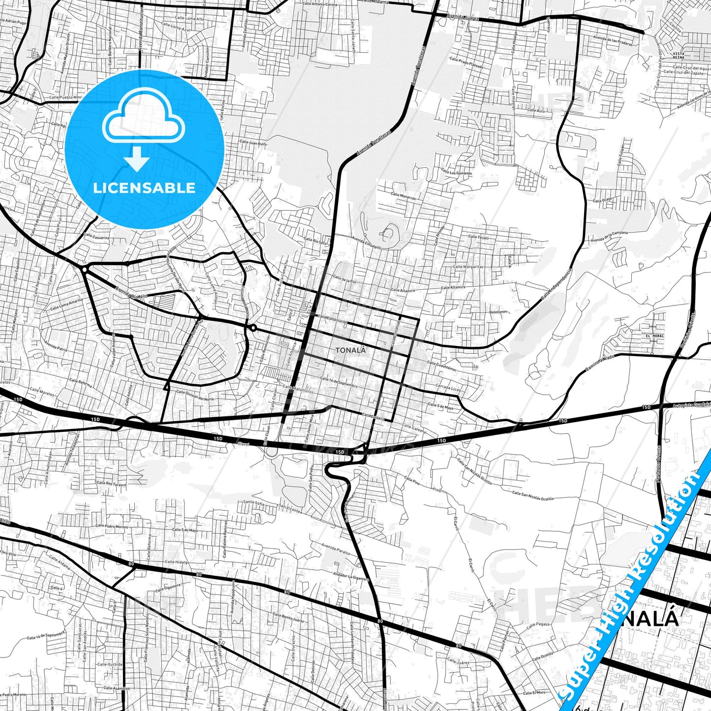 Tonalá, Mexico Light Map with Street Names, City Names, and Districts