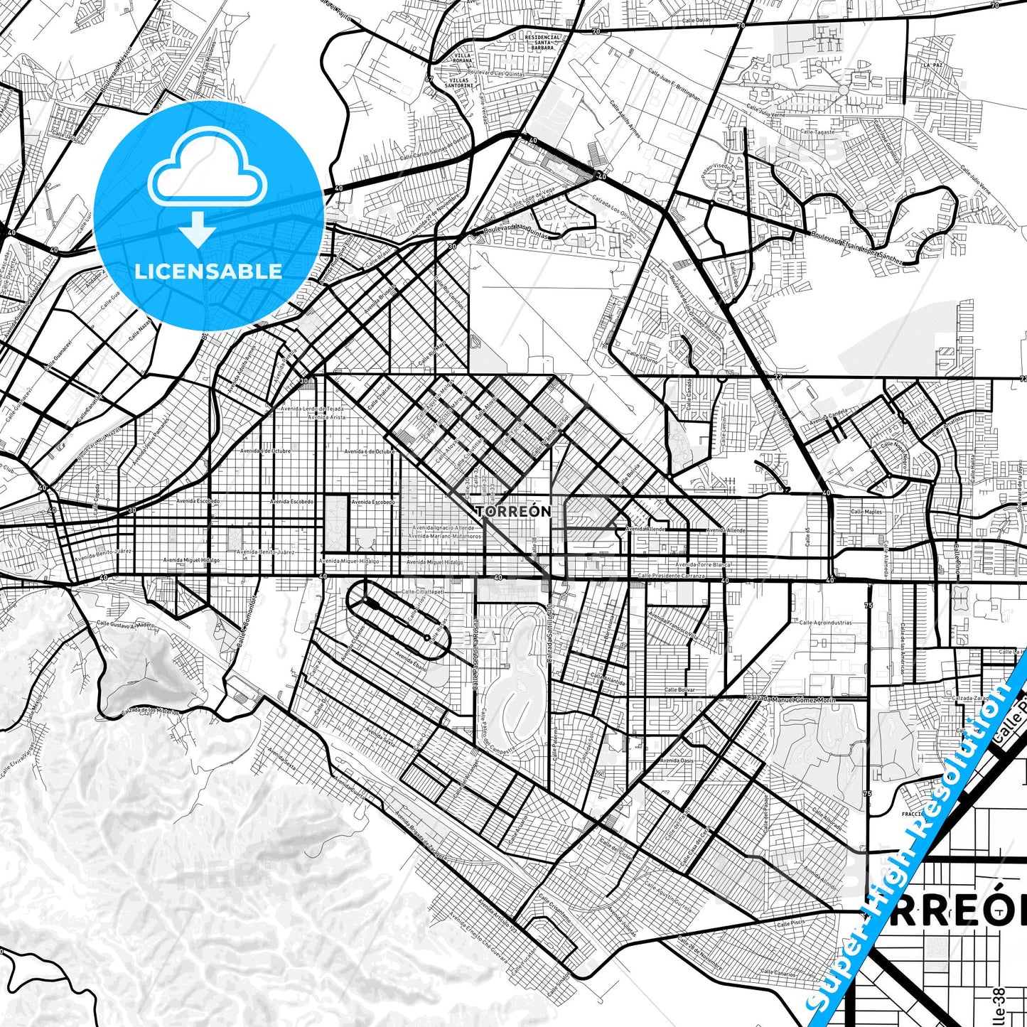 Torreón, Mexico Light Map with Street Names, City Names, and Districts