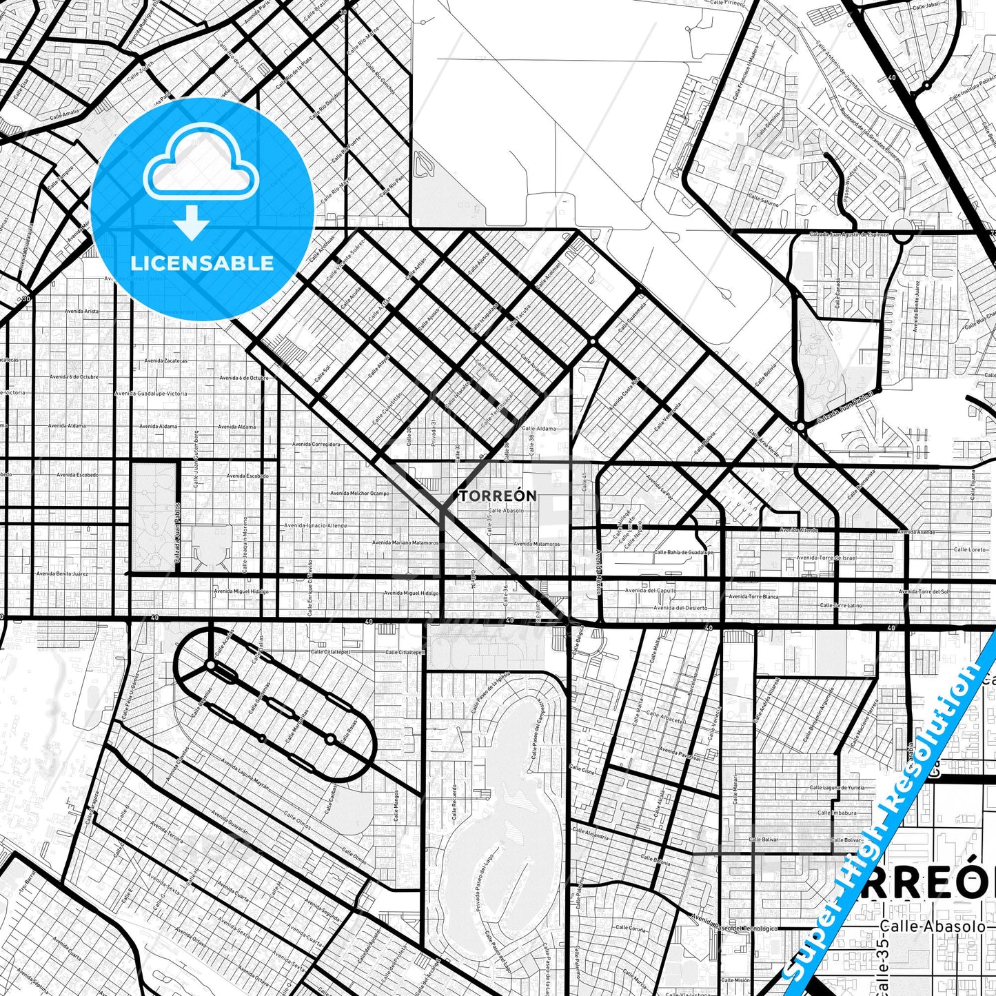 Torreón, Mexico Light Map with Street Names, City Names, and Districts