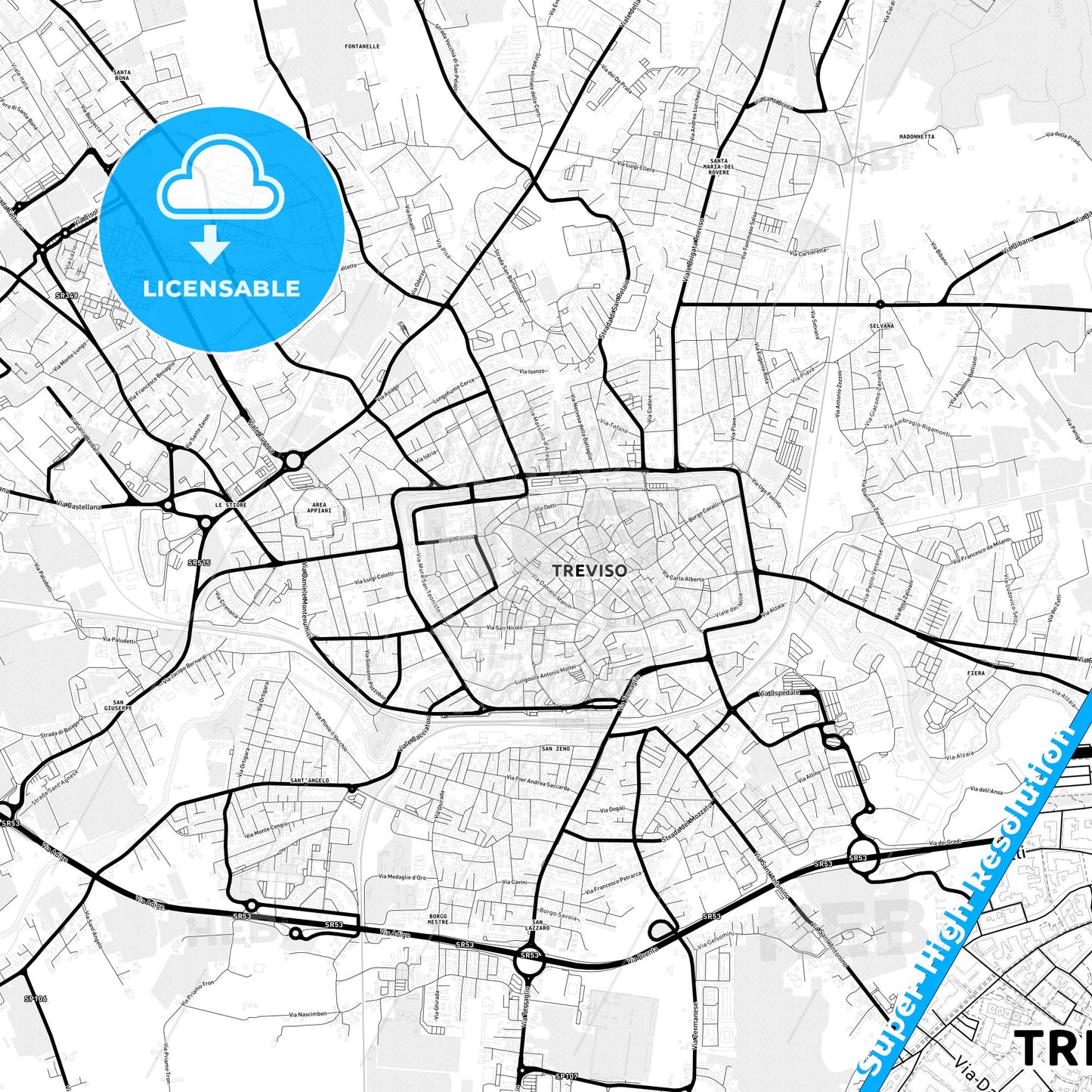 Treviso, Italy Light Map with Street Names, City Names, and Districts