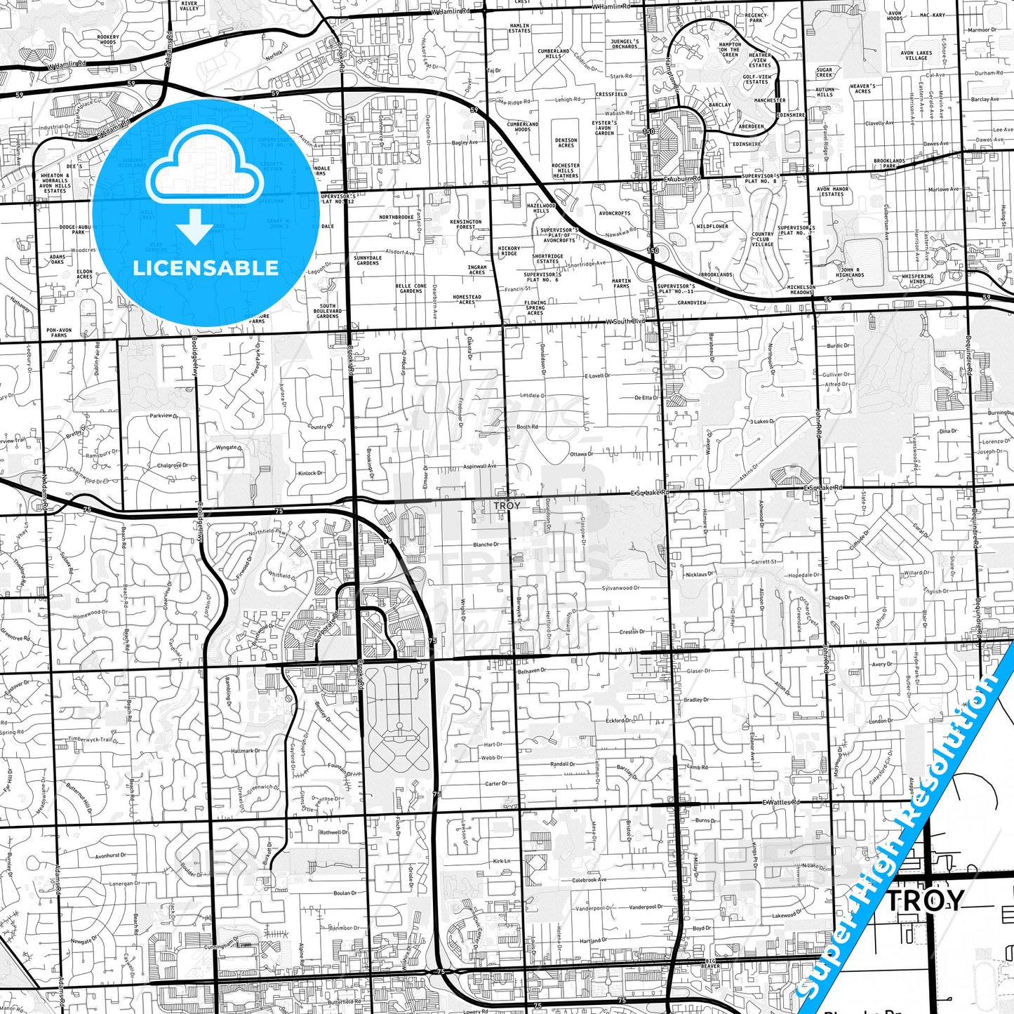 Troy, Michigan Light Map with Street Names, City Names, and Districts