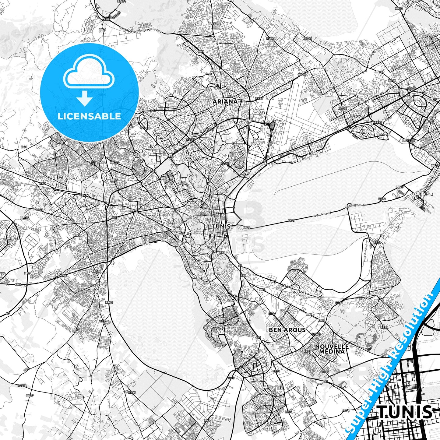 Tunis, Tunisia light map with streetnames, citynames and districts