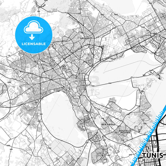 Tunis, Tunisia light map with streetnames, citynames and districts