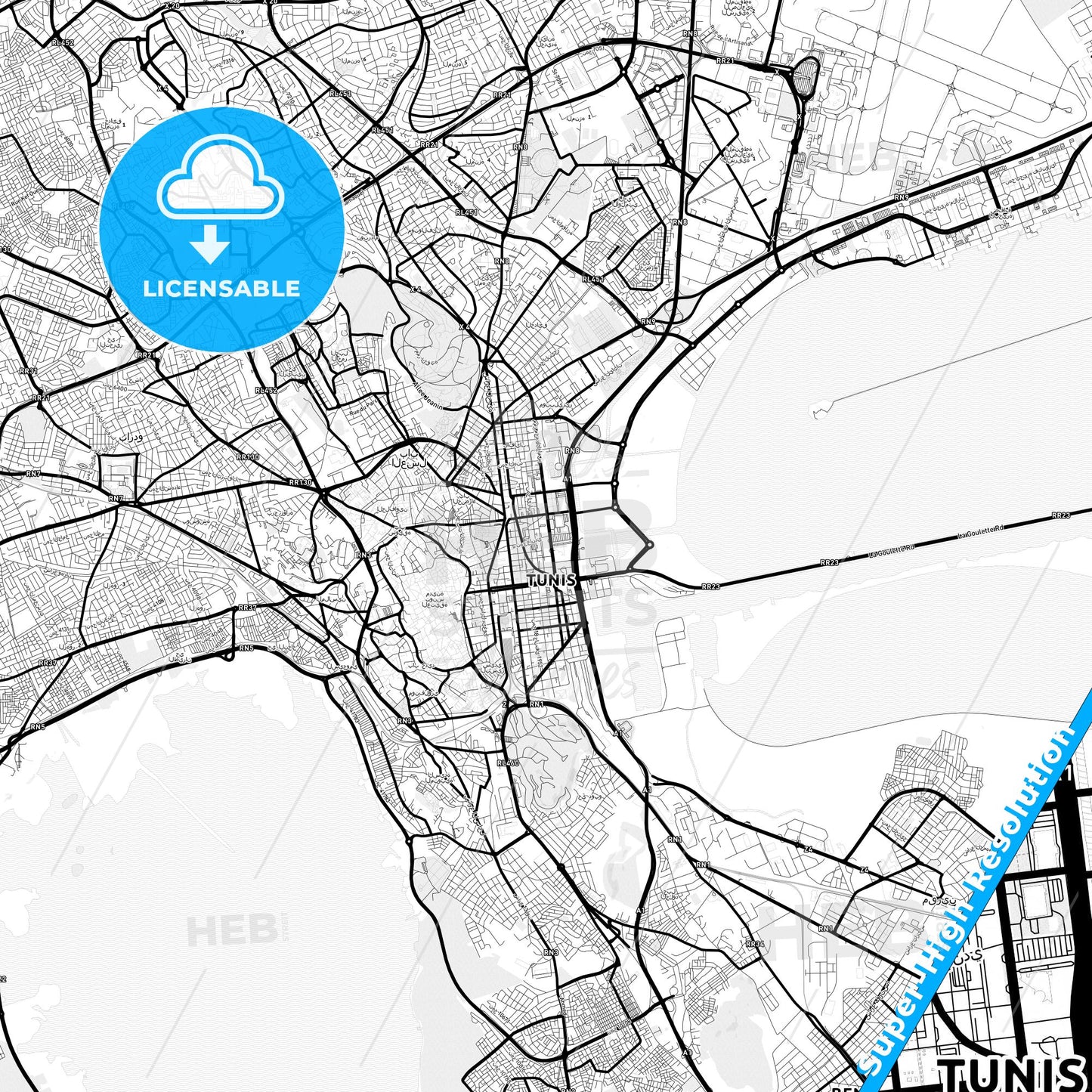 Tunis, Tunisia Light Map with Street Names, City Names, and Districts