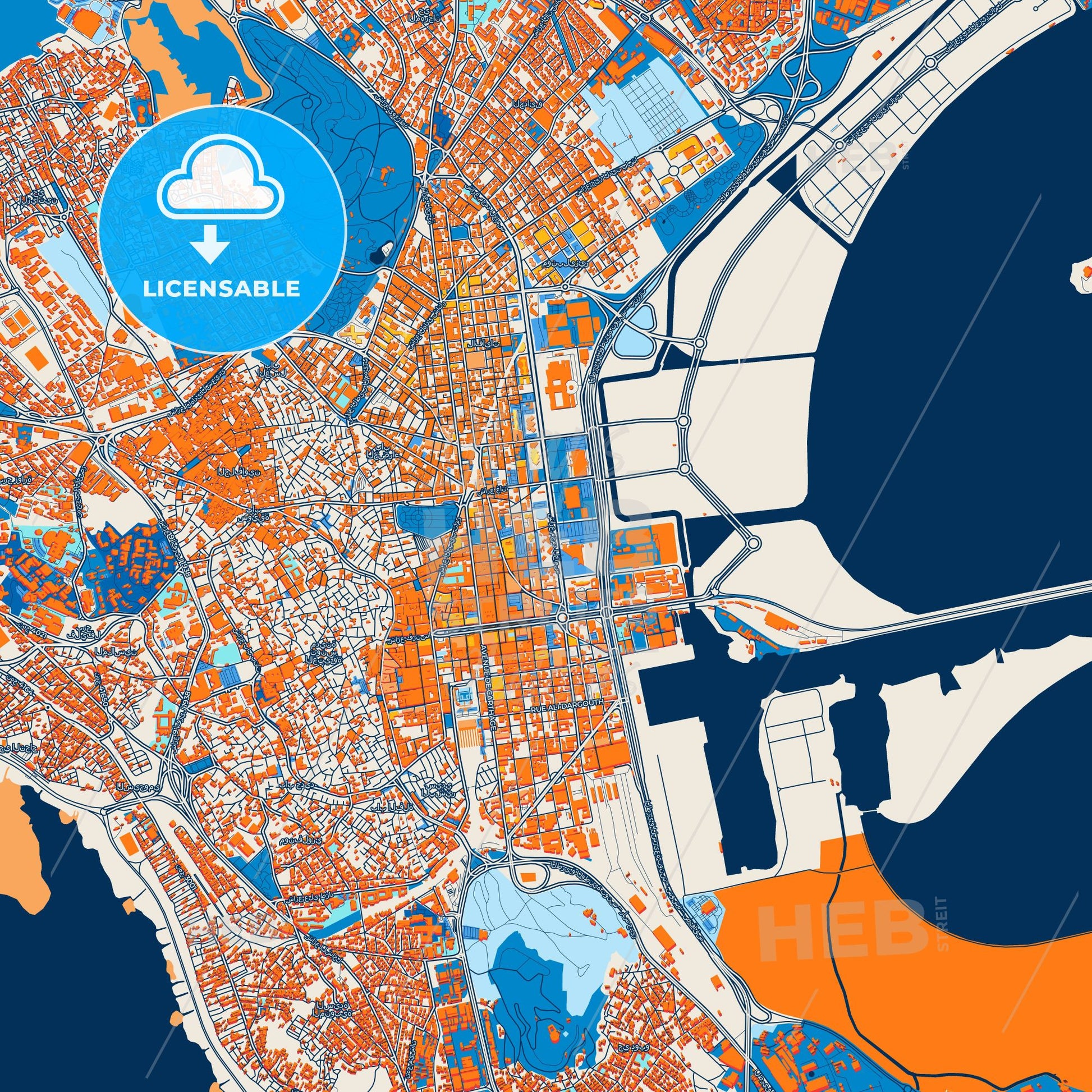 Colorful Tunis Street Map with Labels and Buildings