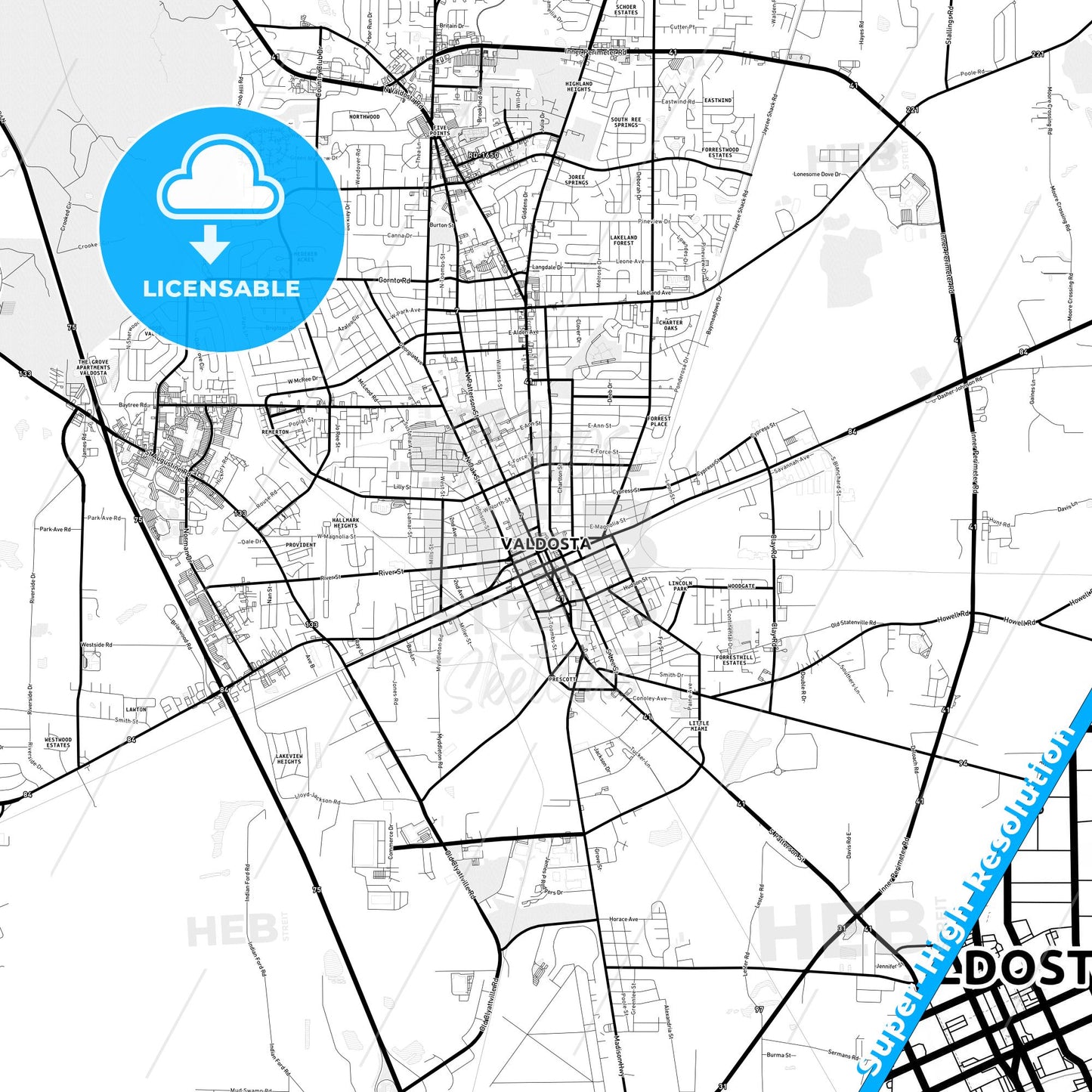 Valdosta, Georgia Light Map with Street Names, City Names, and Districts