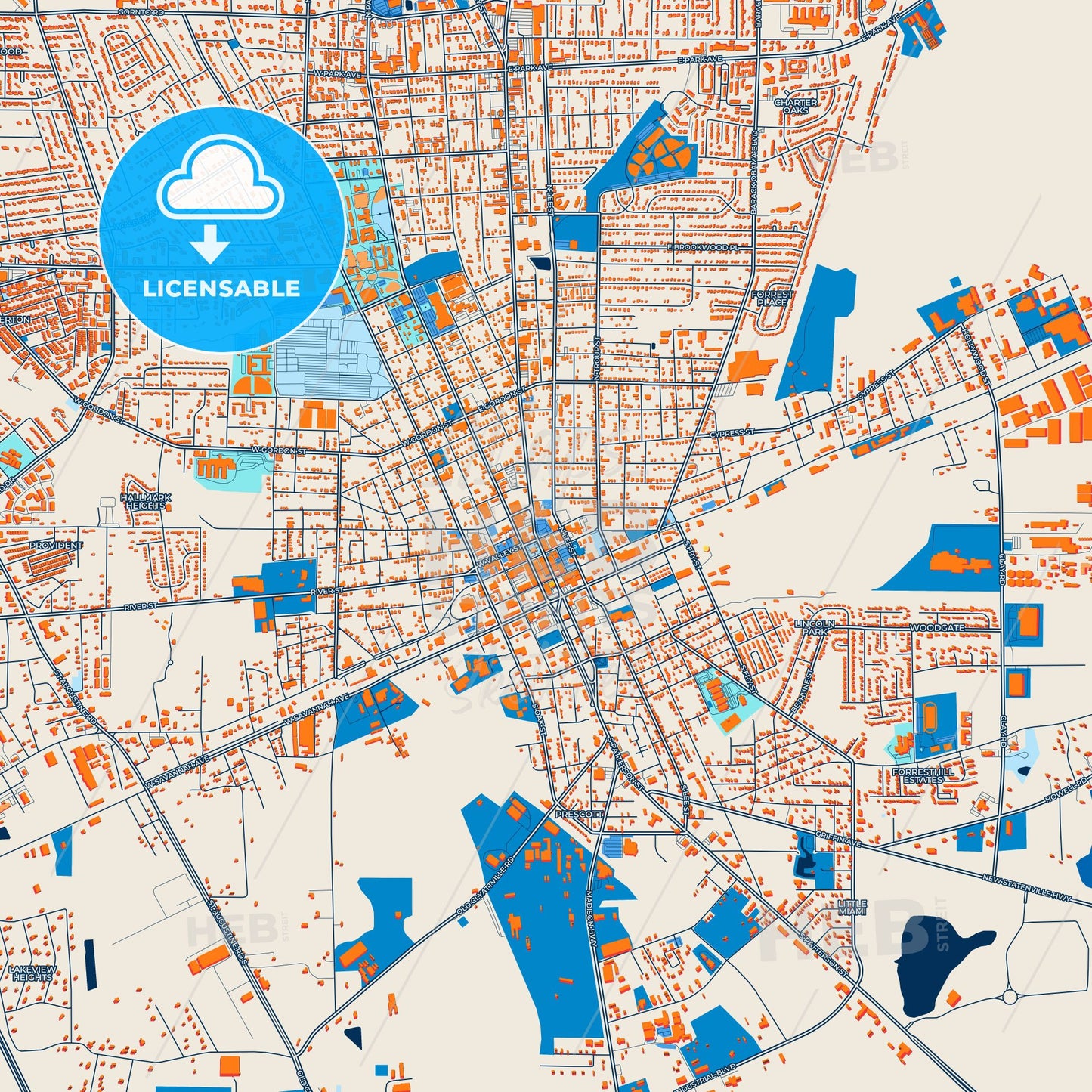 Colorful Valdosta Street Map with Labels and Buildings