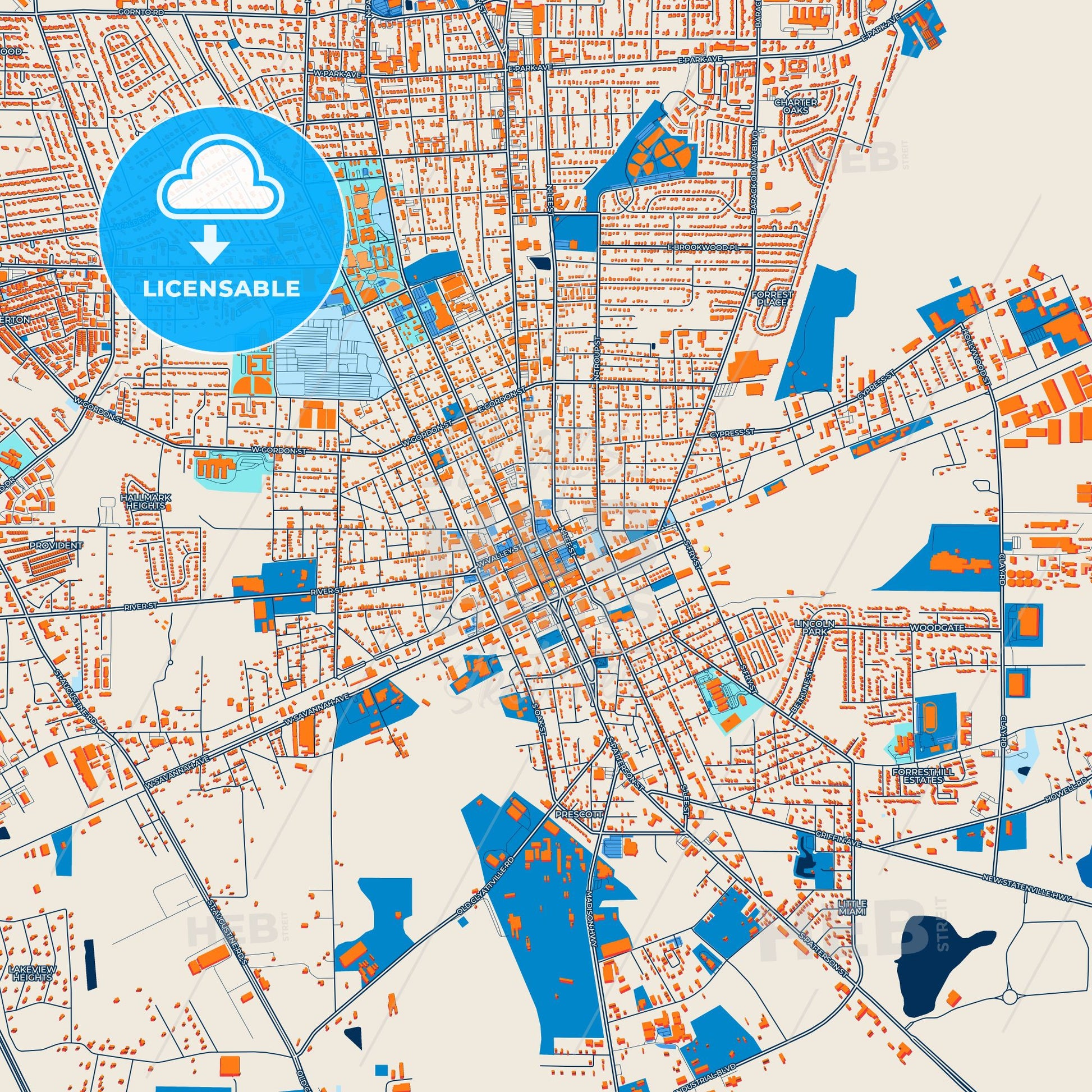 Colorful Valdosta Street Map with Labels and Buildings