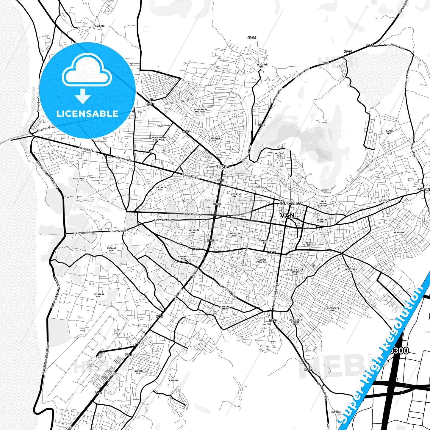 Van, Turkey Light Map with Street Names, City Names, and Districts