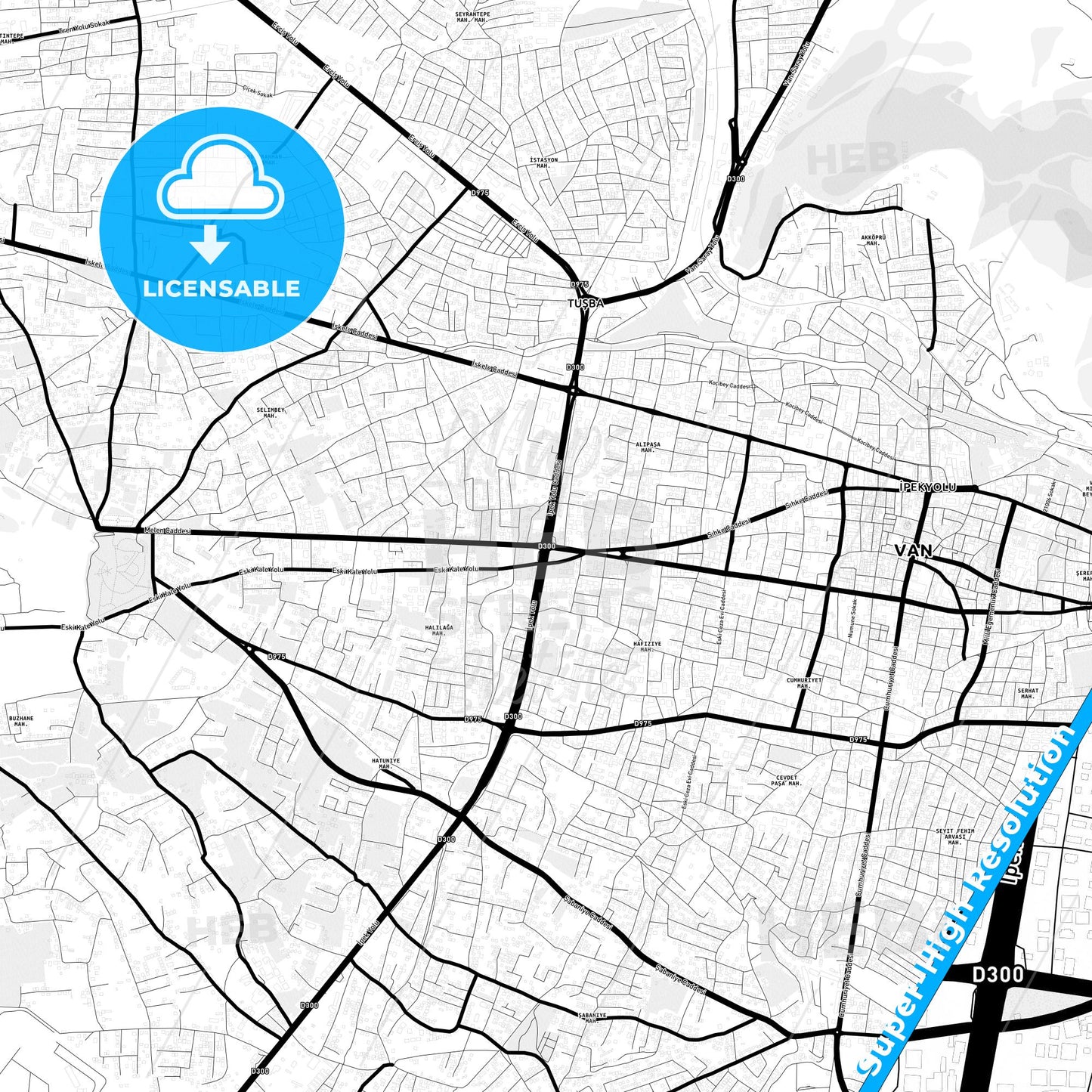 Van, Turkey Light Map with Street Names, City Names, and Districts