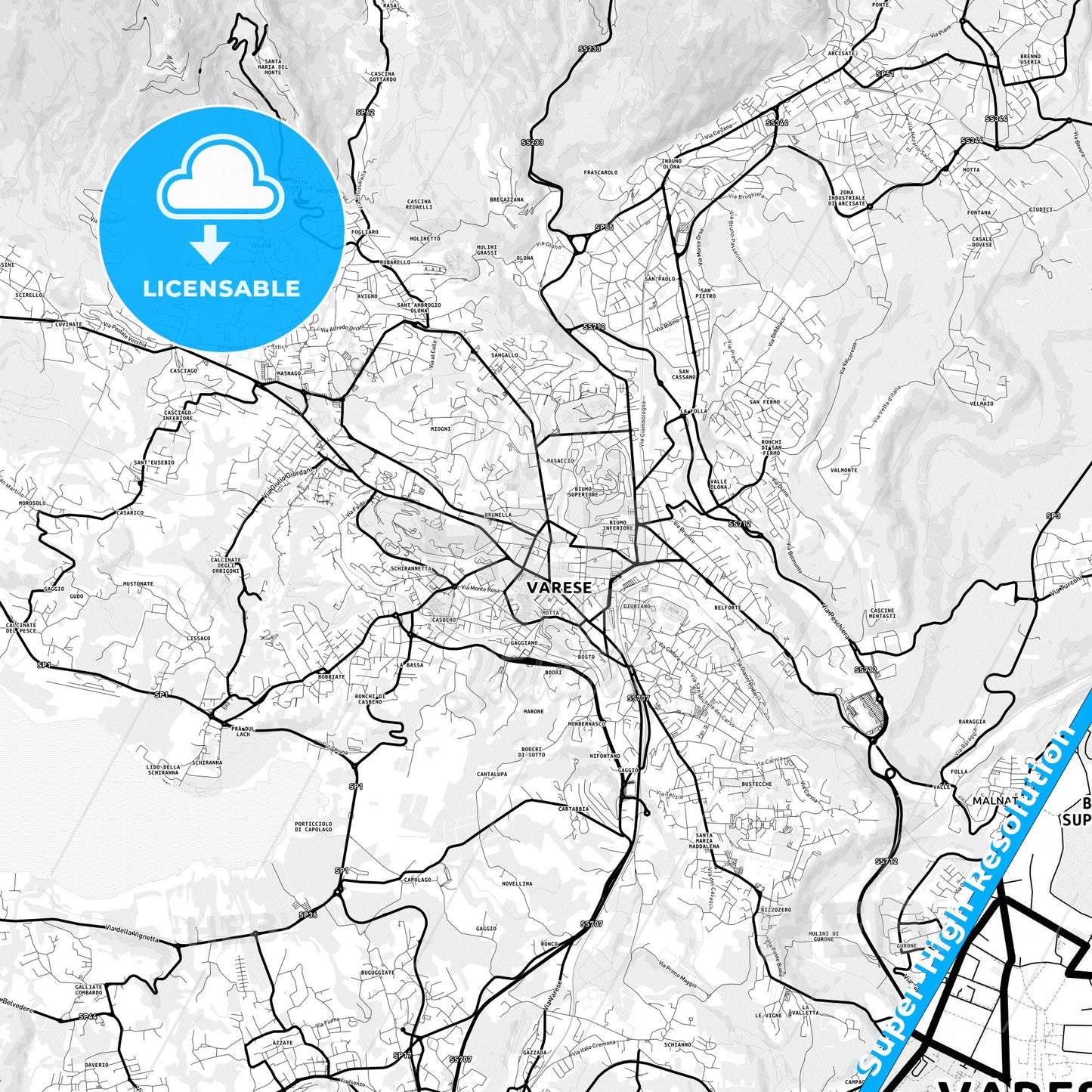 Varese, Italy Light Map with Street Names, City Names, and Districts