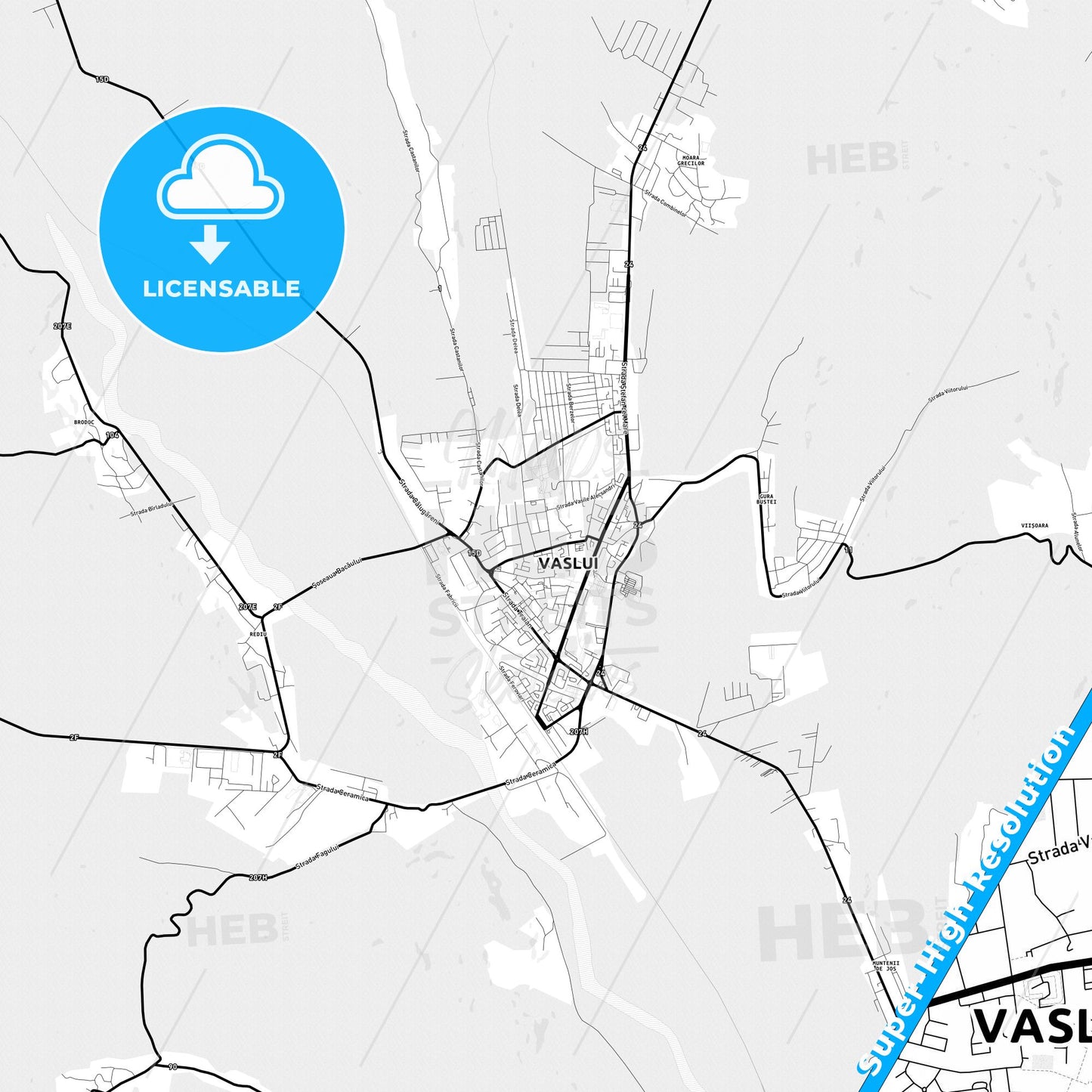 Vaslui, Romania Light Map with Street Names, City Names, and Districts