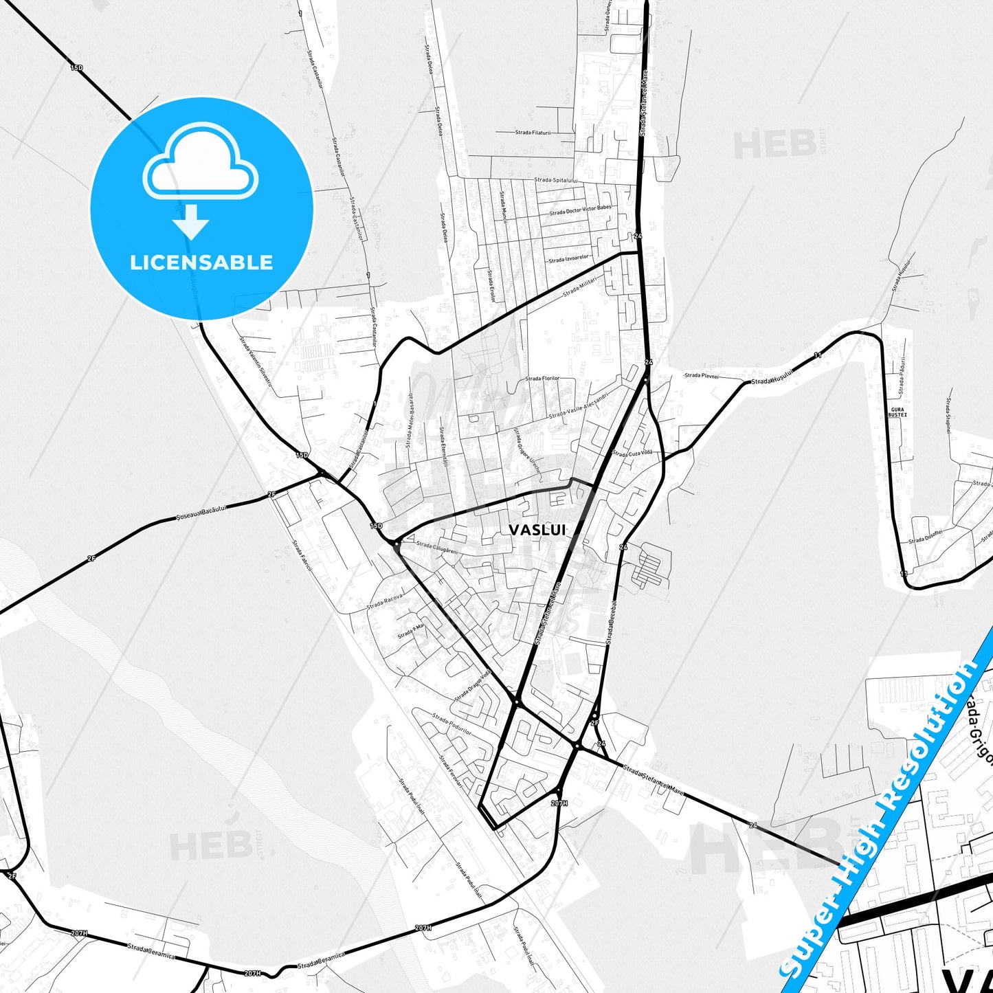Vaslui, Romania Light Map with Street Names, City Names, and Districts
