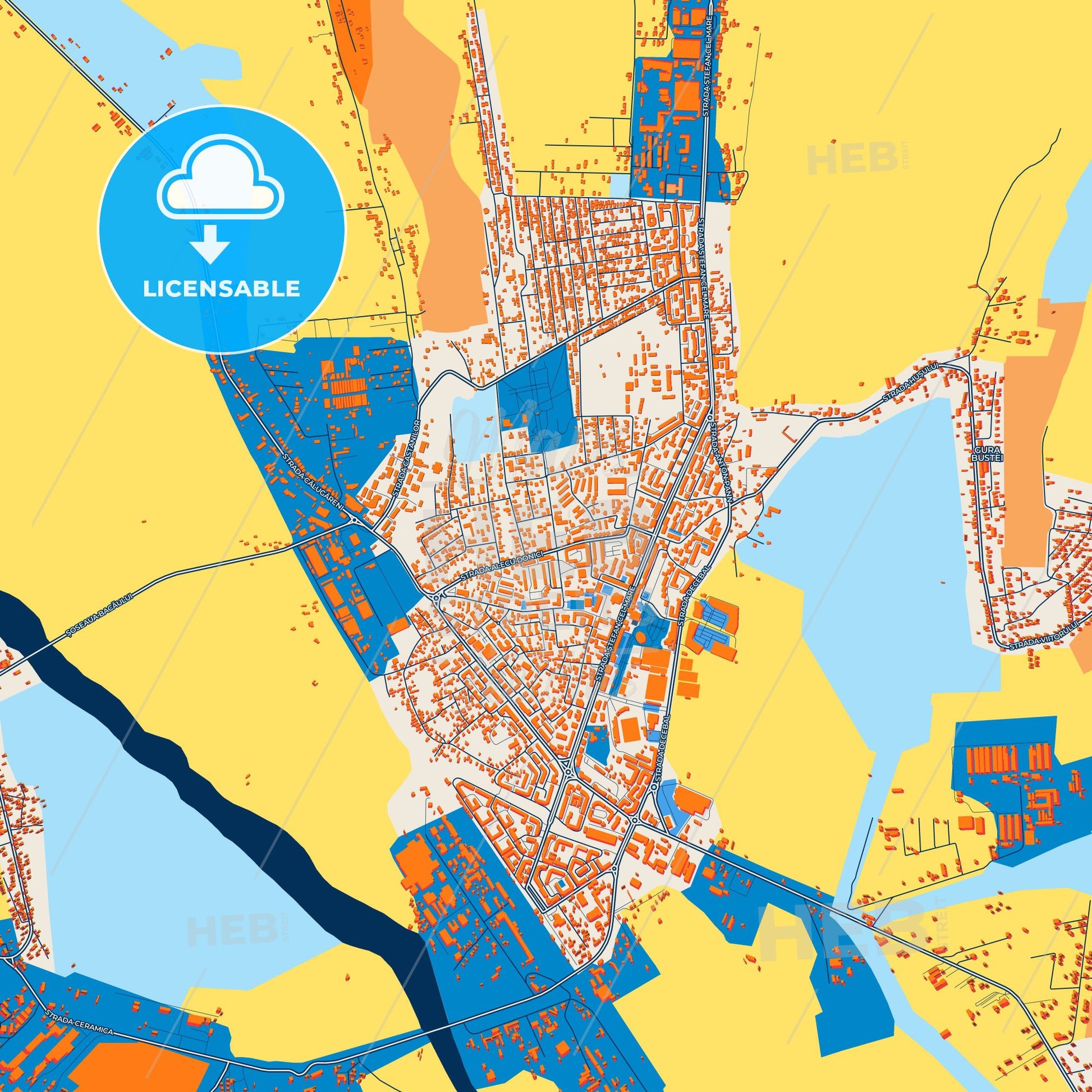 Colorful Vaslui Street Map with Labels and Buildings