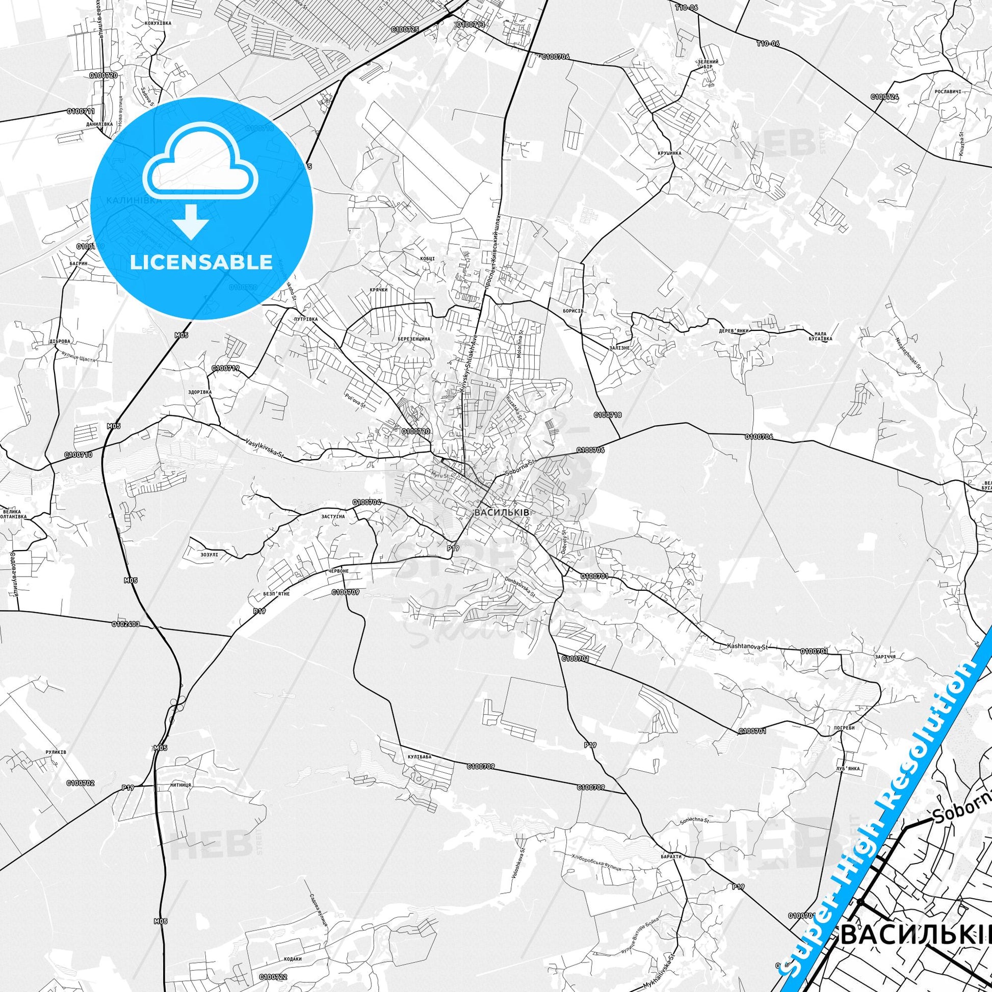 Vasylkiv, Ukraine light map with streetnames, citynames and districts