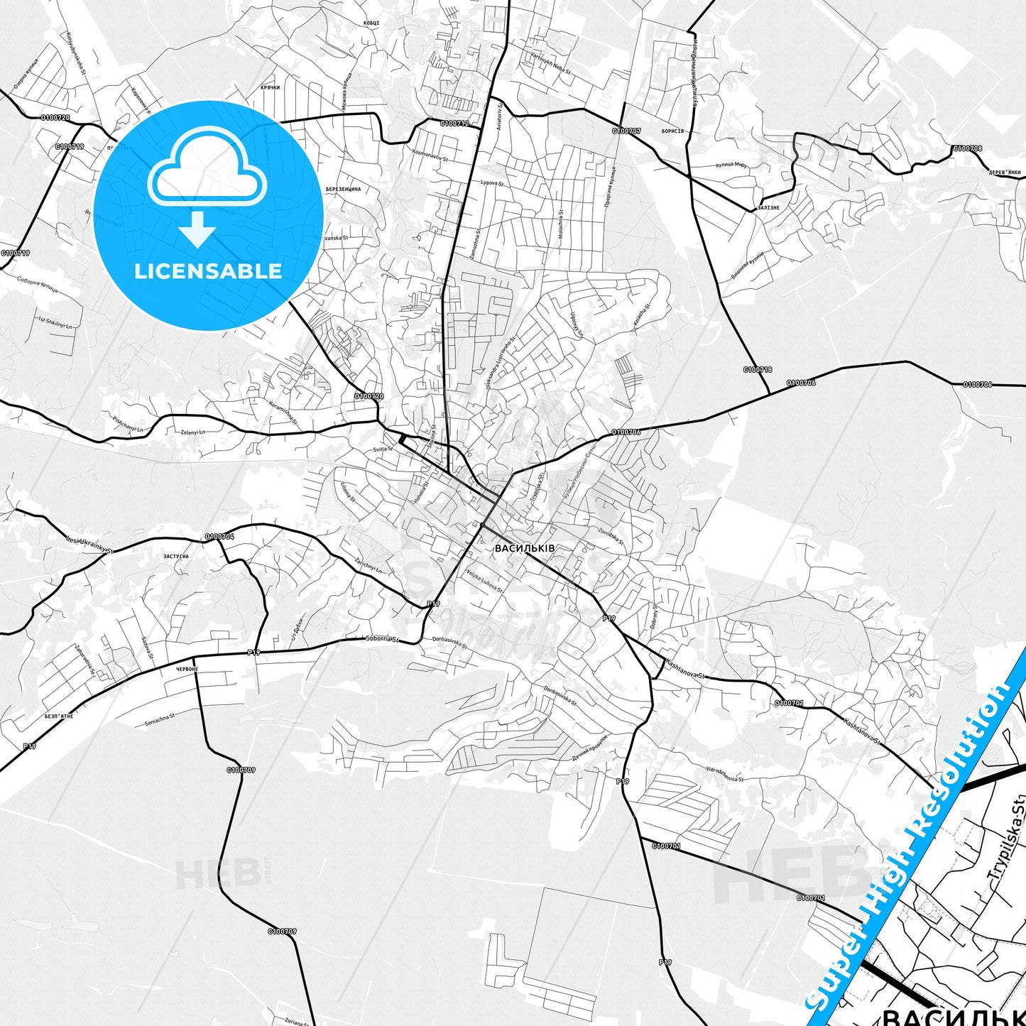 Vasylkiv, Ukraine Light Map with Street Names, City Names, and Districts