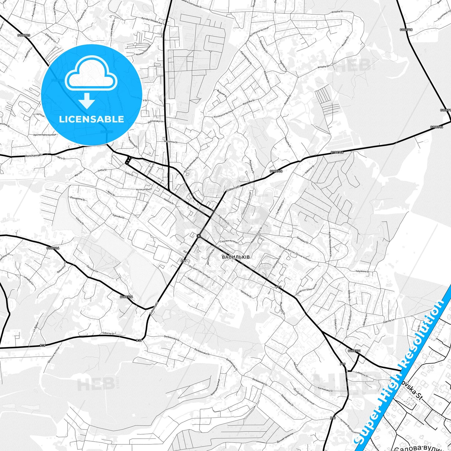 Vasylkiv, Ukraine Light Map with Street Names, City Names, and Districts