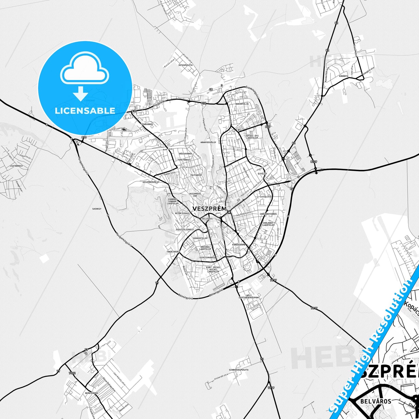 Veszprém, Hungary Light Map with Street Names, City Names, and Districts