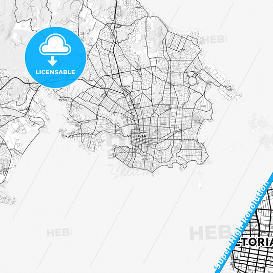 Victoria, Canada light map with streetnames, citynames and districts