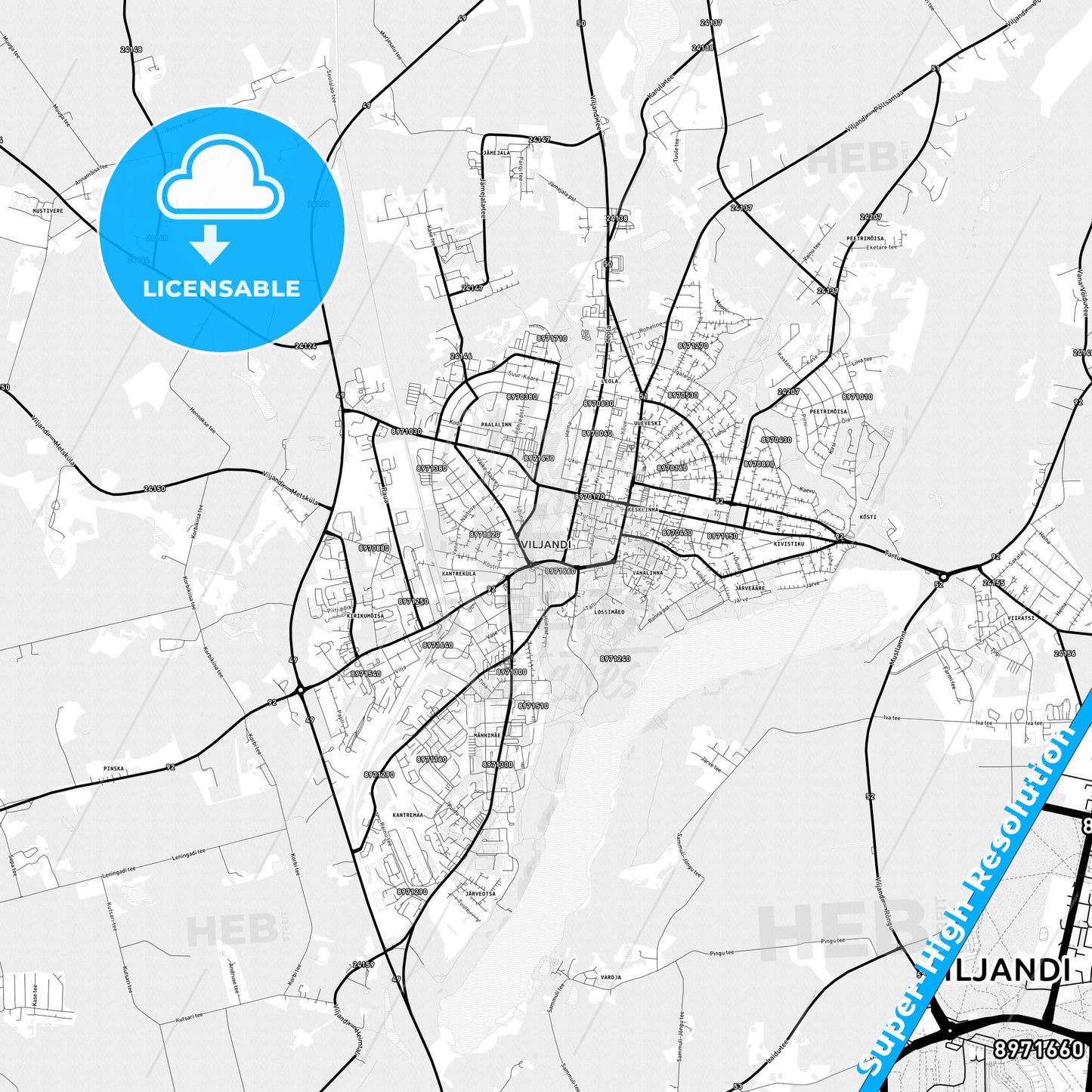Viljandi, Estonia Light Map with Street Names, City Names, and Districts