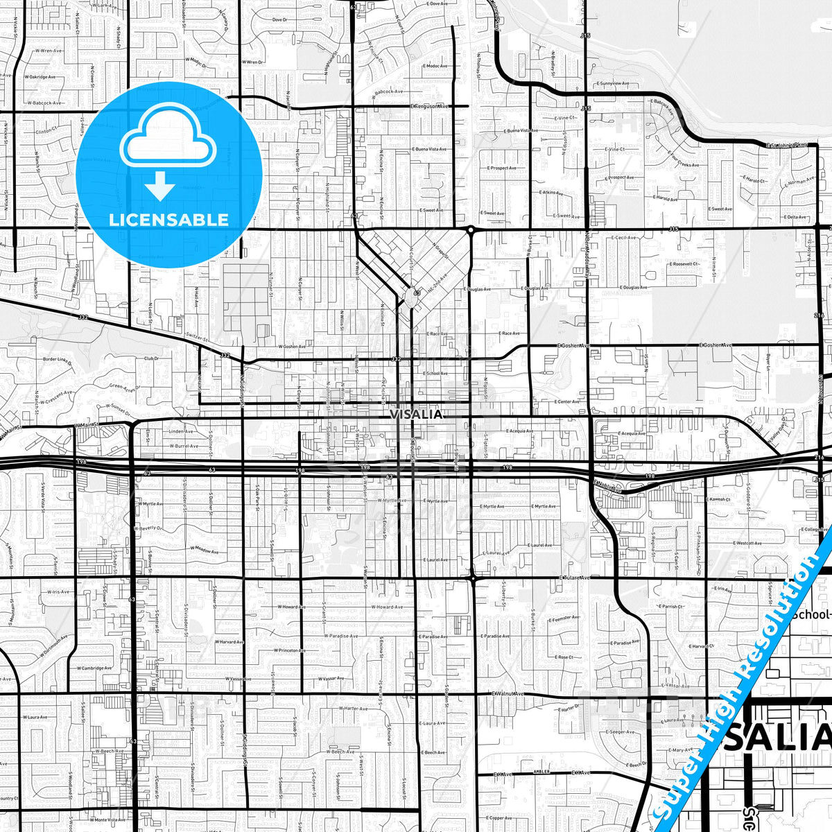 Visalia, California Light Map with Street Names, City Names, and Districts