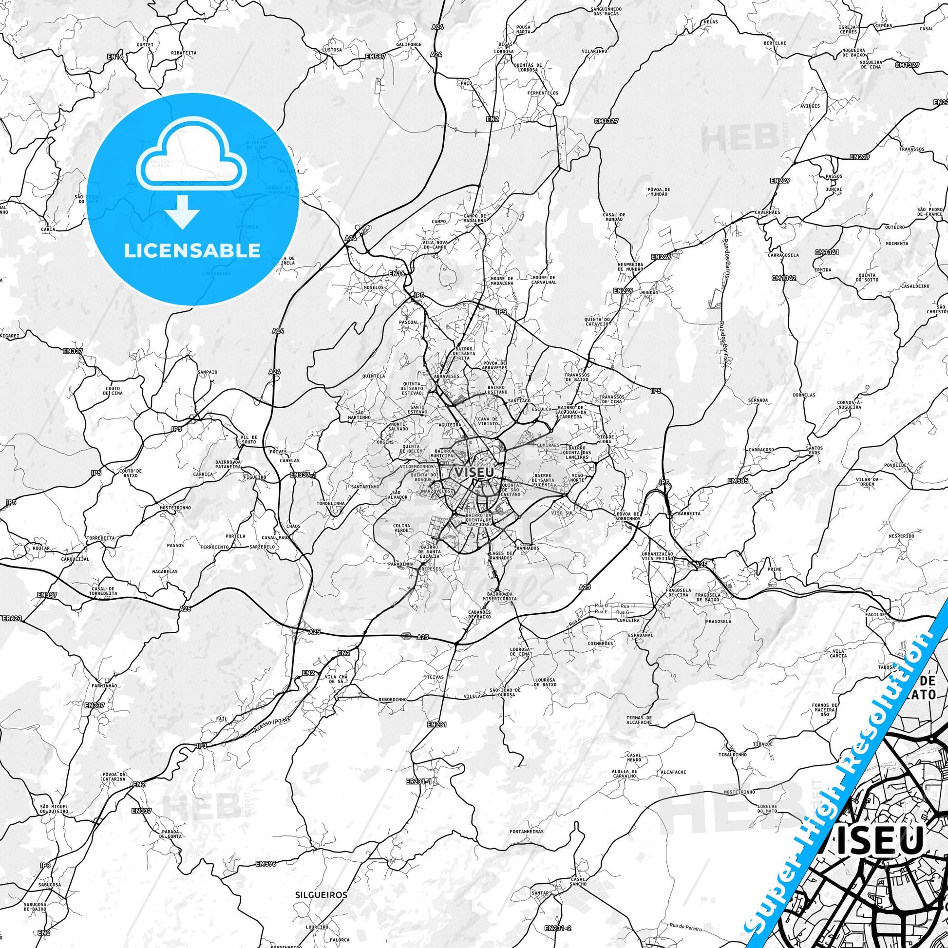 Viseu, Portugal light map with streetnames, citynames and districts