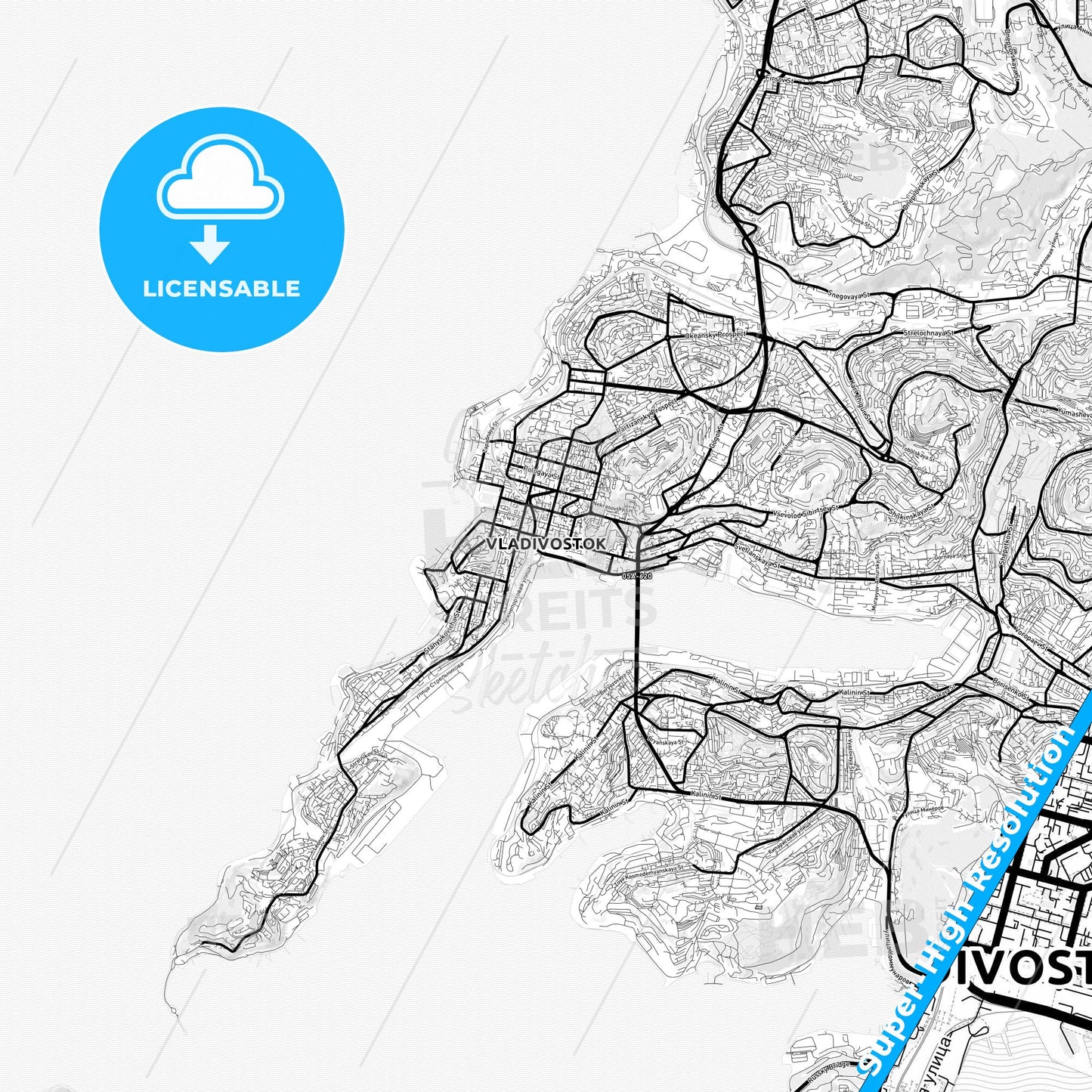 Vladivostok, Russia Light Map with Street Names, City Names, and Districts