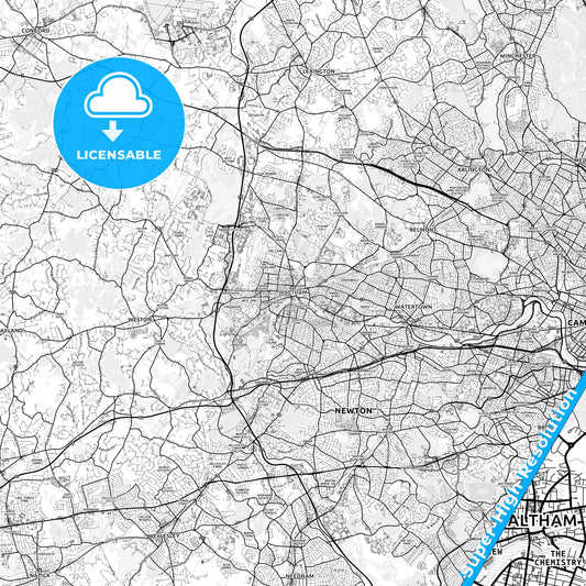 Waltham, Massachusetts light map with streetnames, citynames and districts