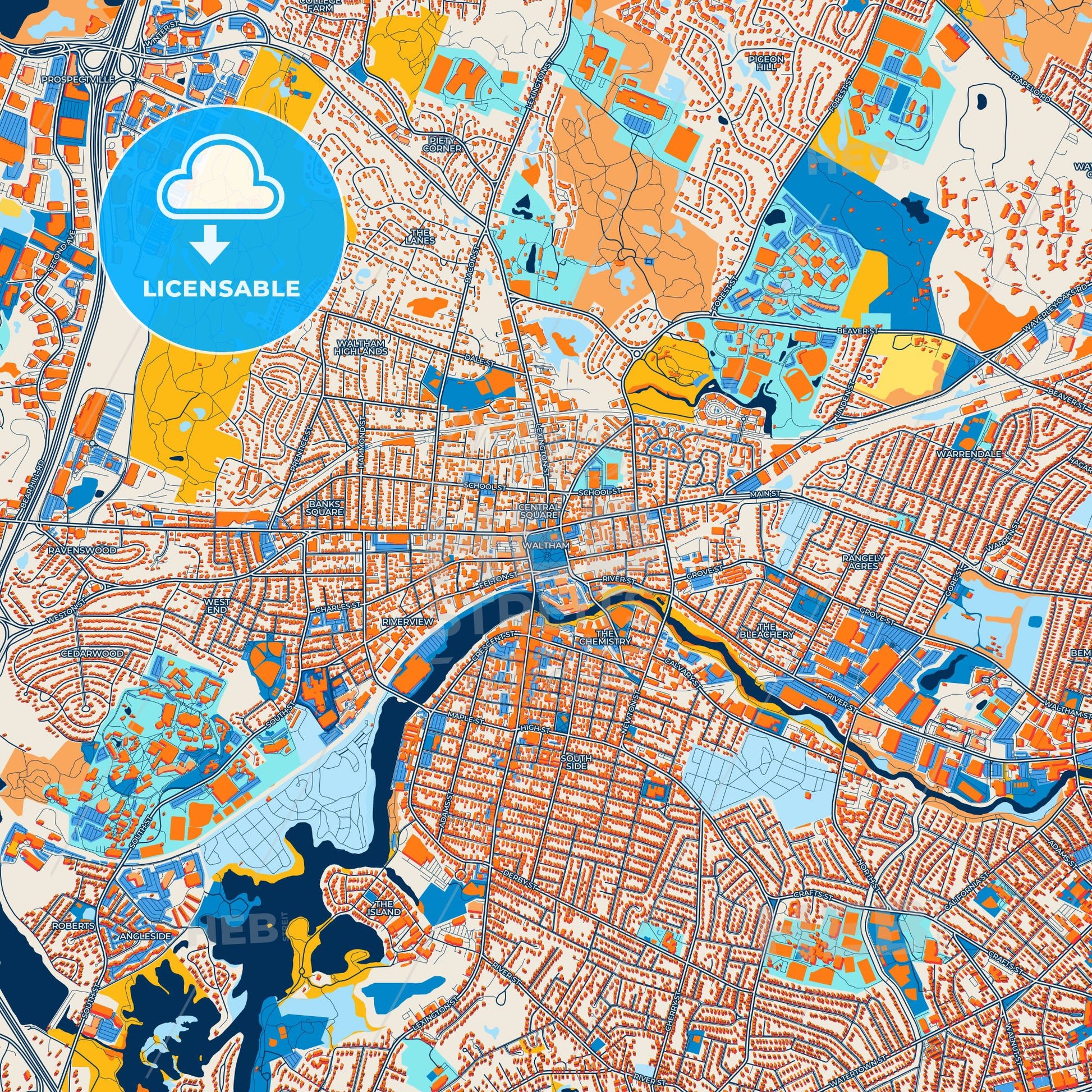 Colorful Waltham Street Map with Labels and Buildings