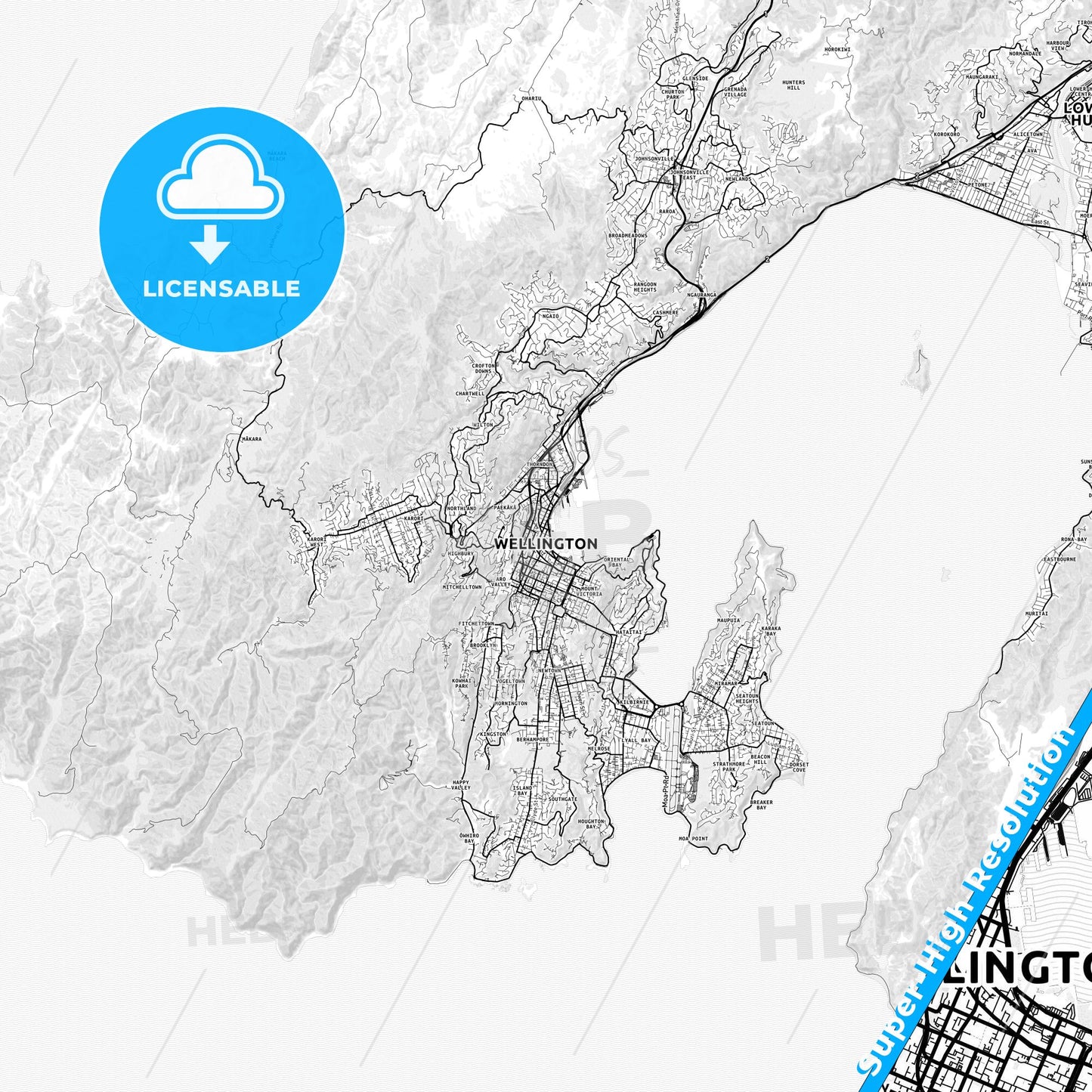 Wellington, New Zealand light map with streetnames, citynames and districts