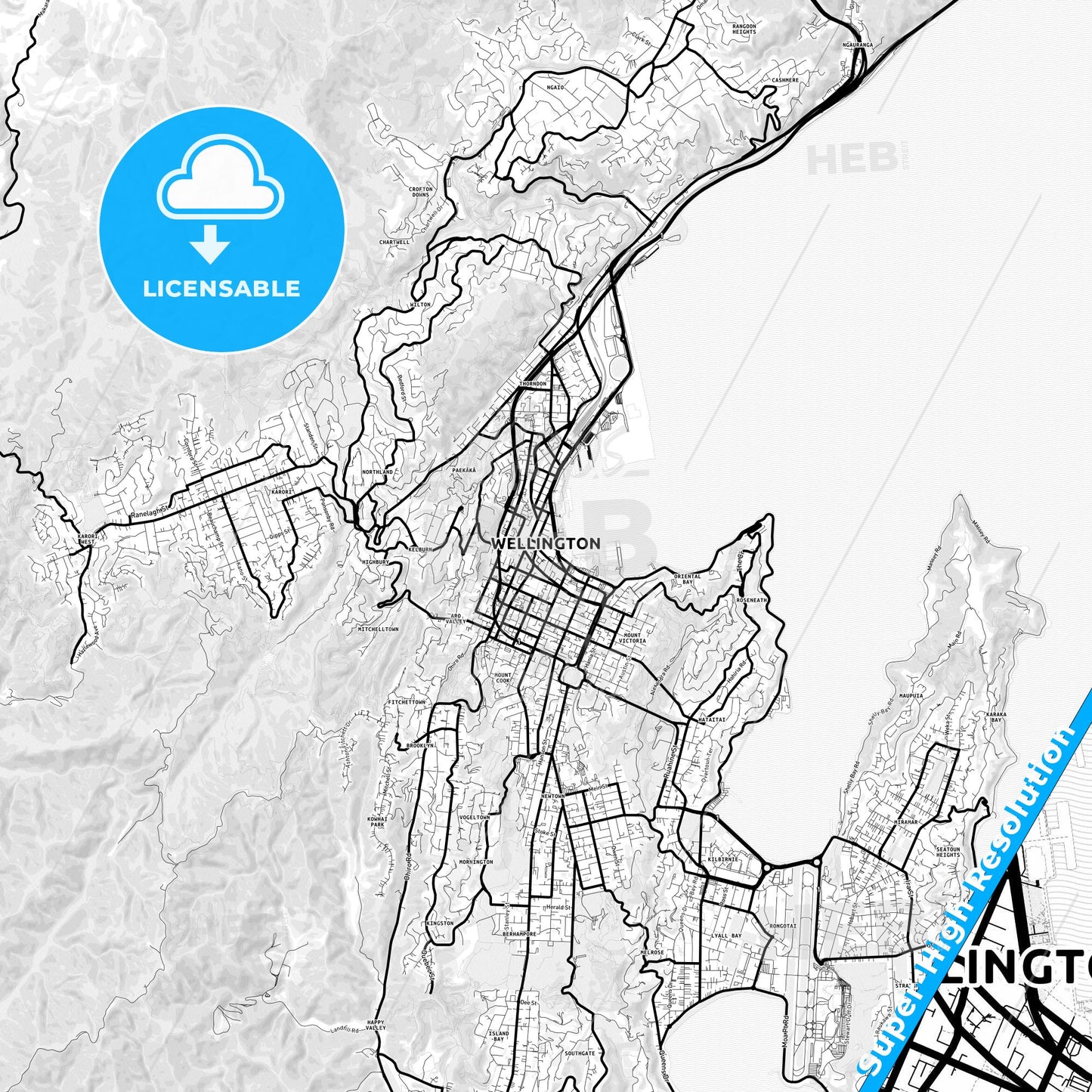 Wellington, New Zealand Light Map with Street Names, City Names, and Districts