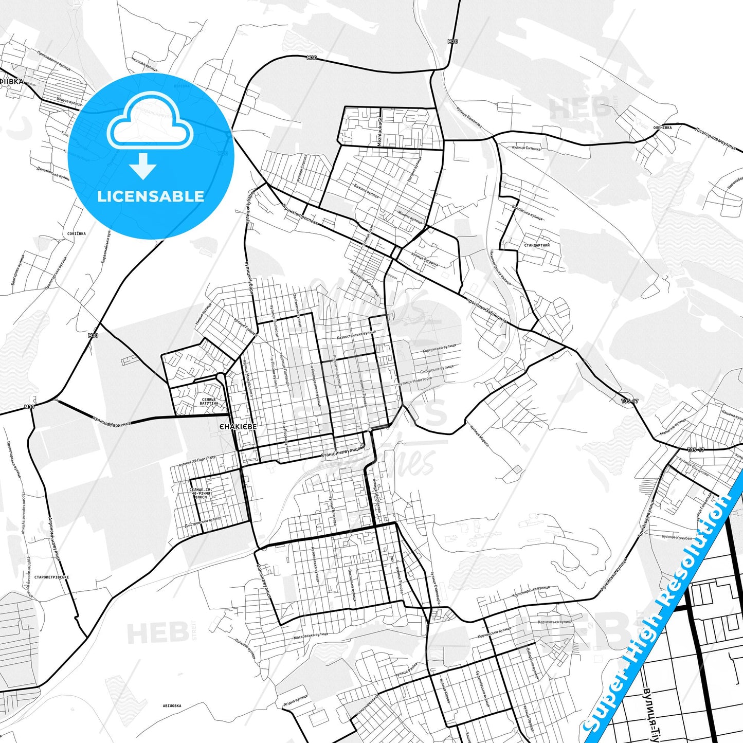 Yenakiieve, Ukraine Light Map with Street Names, City Names, and Districts