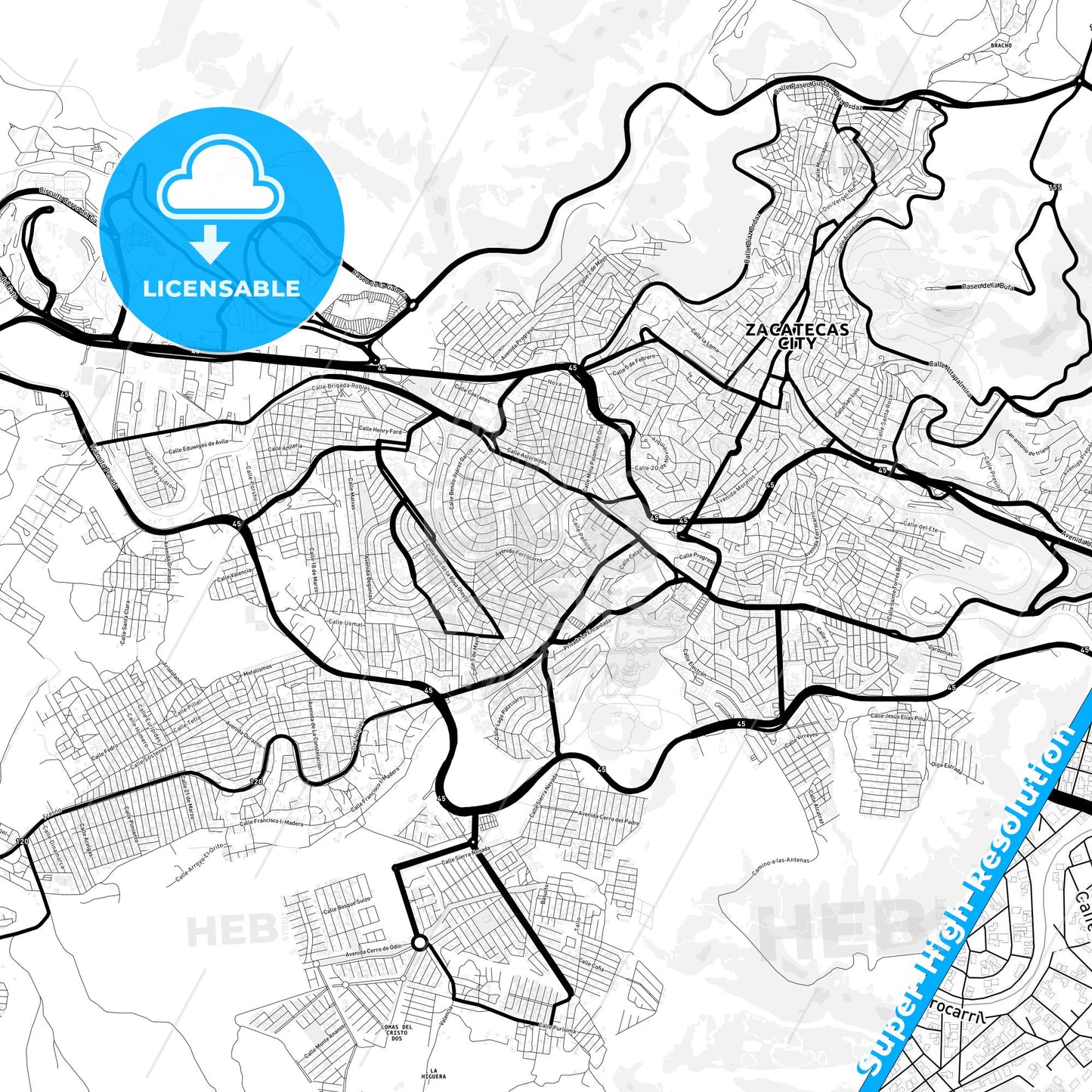 Zacatecas, Mexico Light Map with Street Names, City Names, and Districts