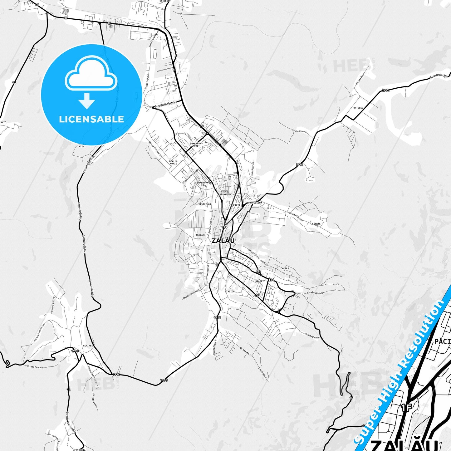 Zalău, Romania Light Map with Street Names, City Names, and Districts