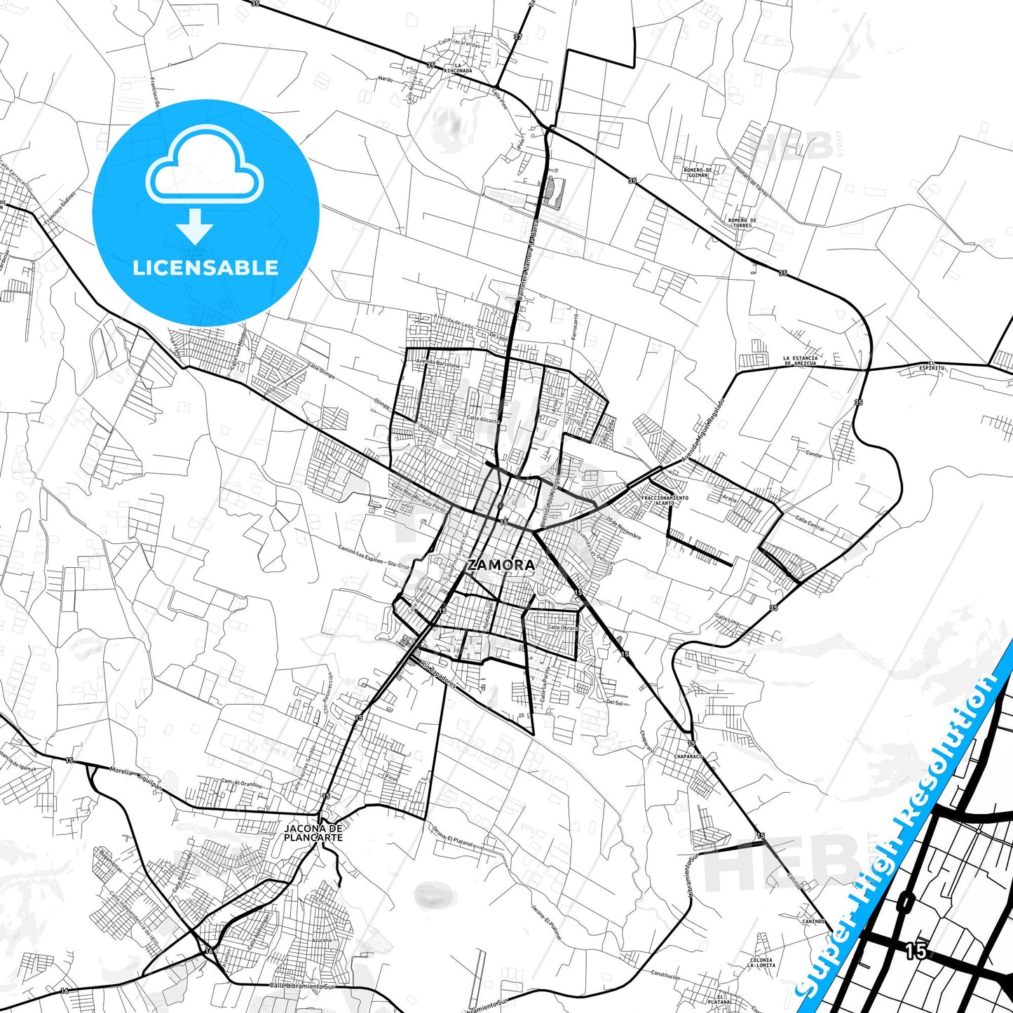 Zamora, Mexico Light Map with Street Names, City Names, and Districts
