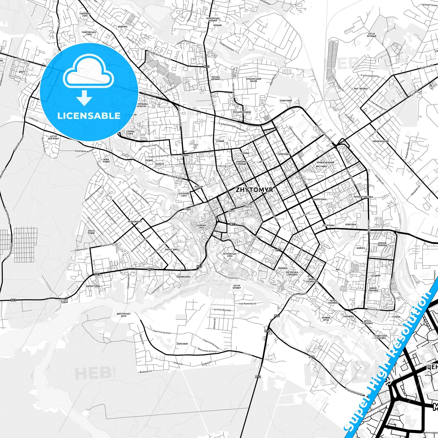 Zhytomyr, Ukraine Light Map with Street Names, City Names, and Districts