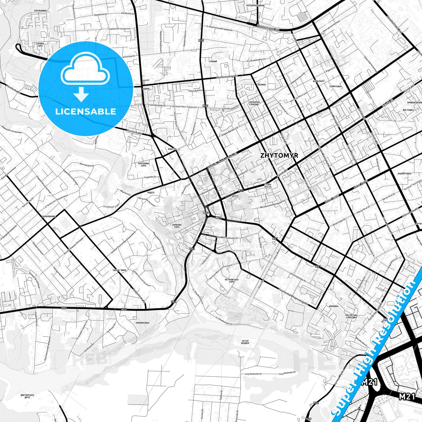 Zhytomyr, Ukraine Light Map with Street Names, City Names, and Districts