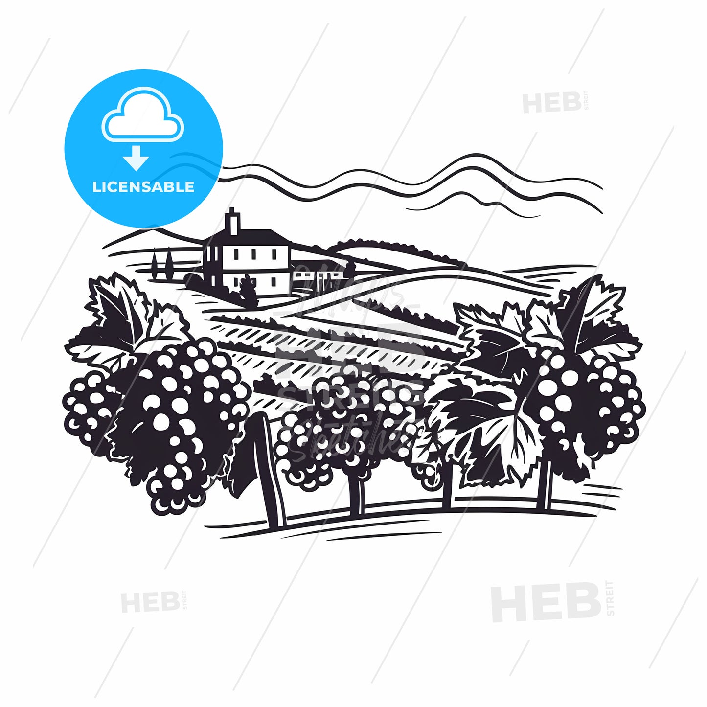 Black And White Drawing Of A Vineyard